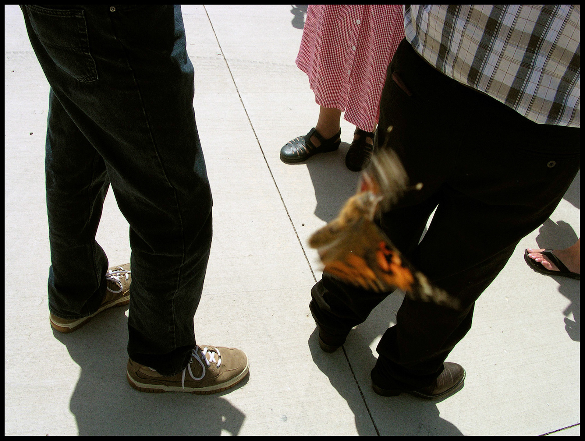 A butterfly flying by amongst a group of people after being released at a church ceremony. Near Clark, Missouri 2006