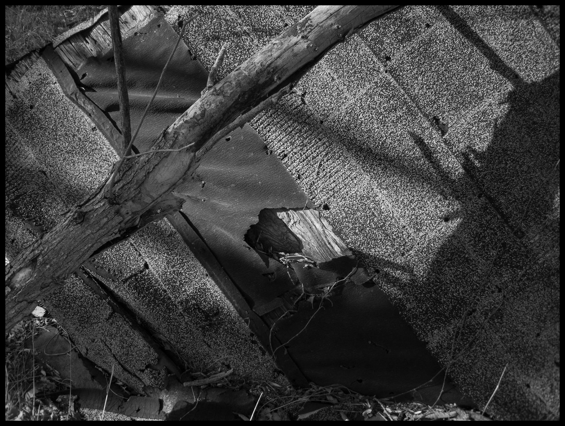 An Interesting black and white abstract image of the  textures, lines, and shadows on the fallen roof of an abandoned house with a dead tree branch in the foreground. Near Green Grove, Missouri. 2009