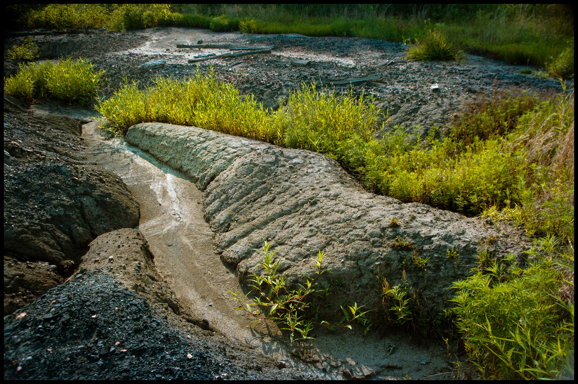 A minimal abstract detail of a ridge resembling a pointing finger, erosion, and nature reclaiming the tailings of the old Billy Creek strip coal mine near Novinger, Missouri. 1984
