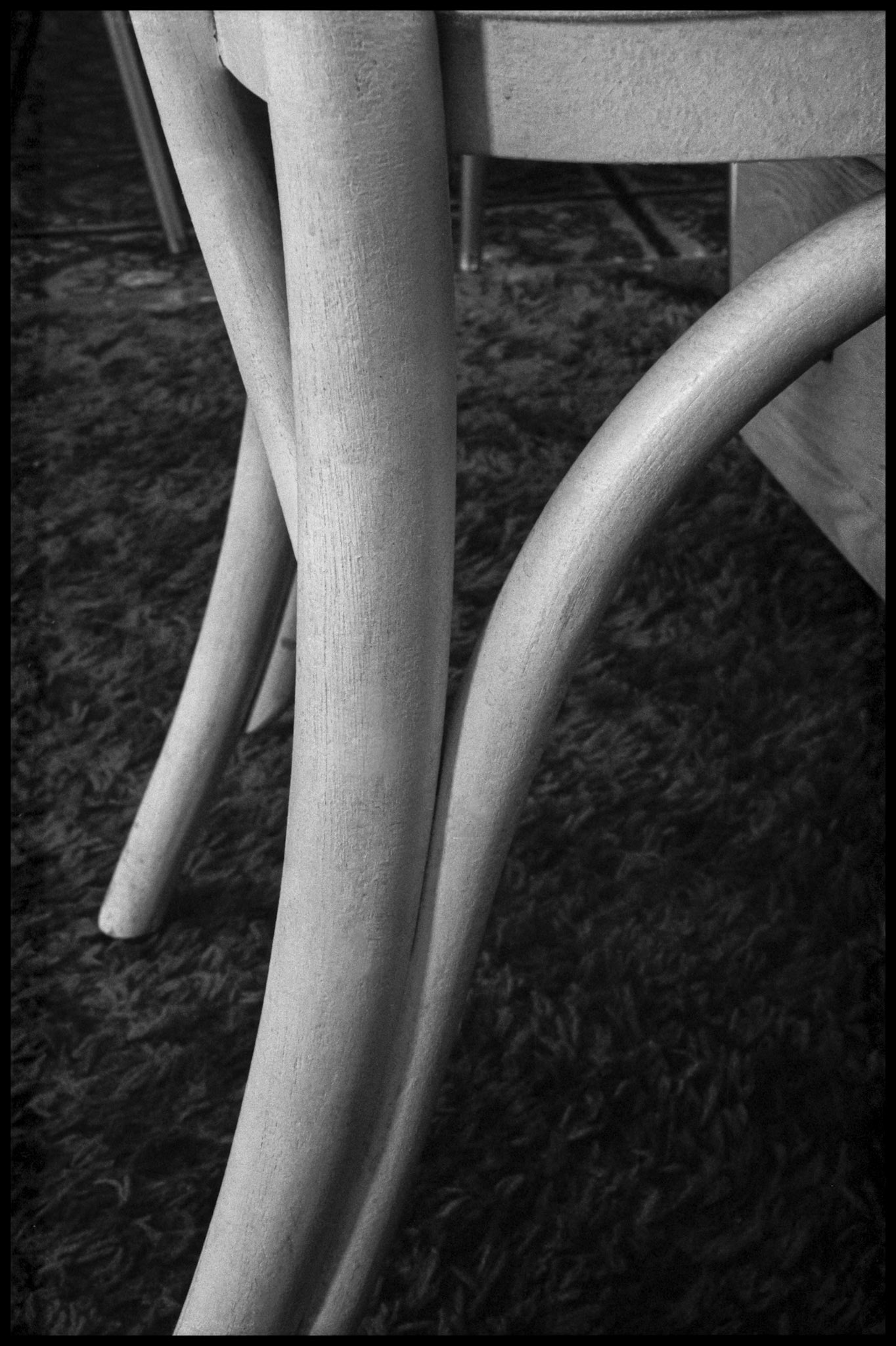 A fine art style abstract geometric detail still life of the graceful curves and subtle gradation of the light on the legs of a white wooden chair in black and white.