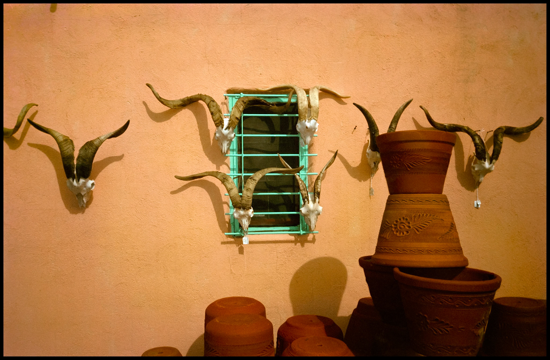 Antelope skulls and horns adorning an adobe wall with pottery in the foreground. Santa Fe, New Mexico, 1993