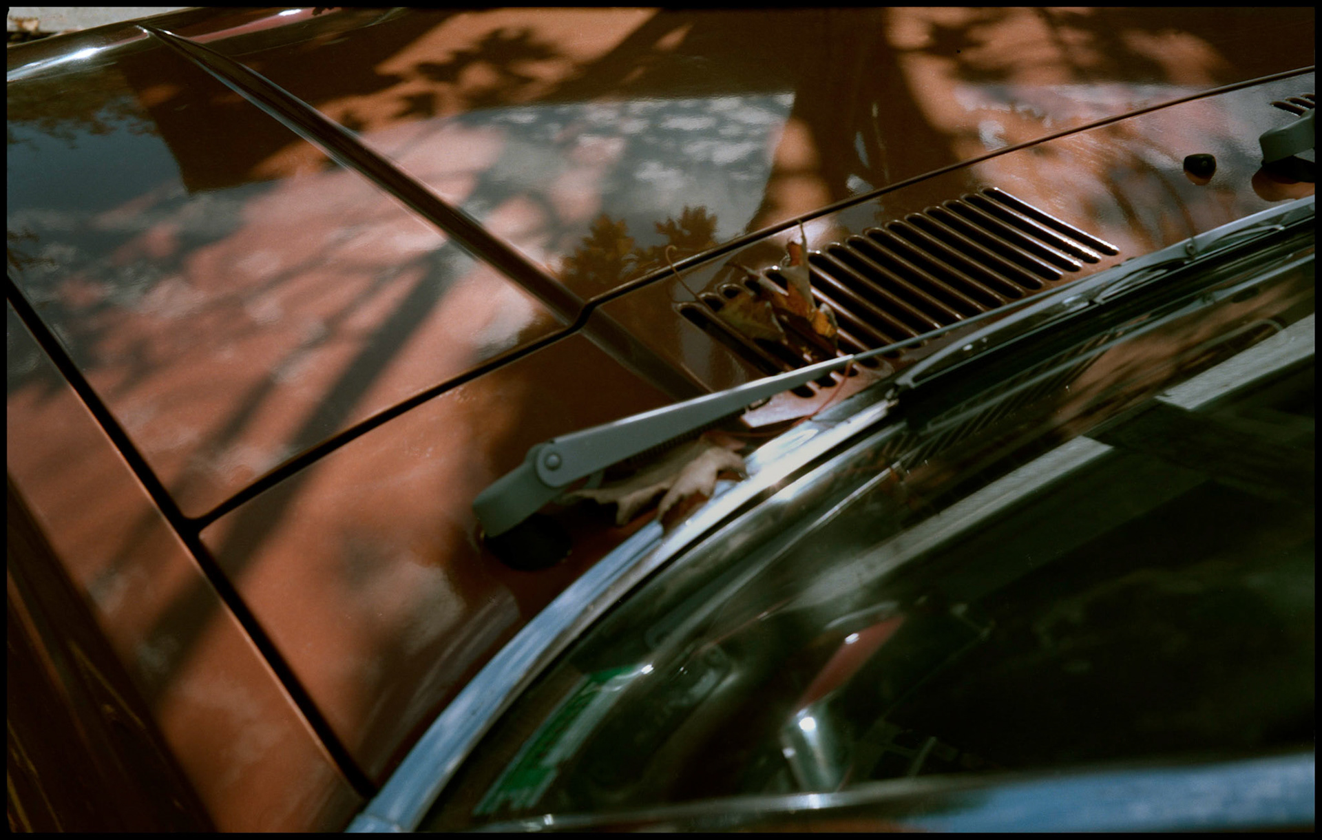 Both shadows and reflections on the hood of a 1980 Mazda 626 car, giving the illusion of depth and layers. Columbia, Missouri, 1989