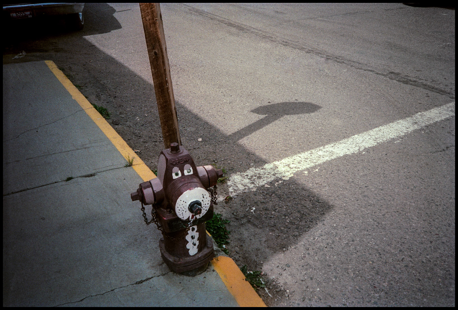 A whimsical fire hydrant painted to resemble a dog. Creed, Colorado 1992