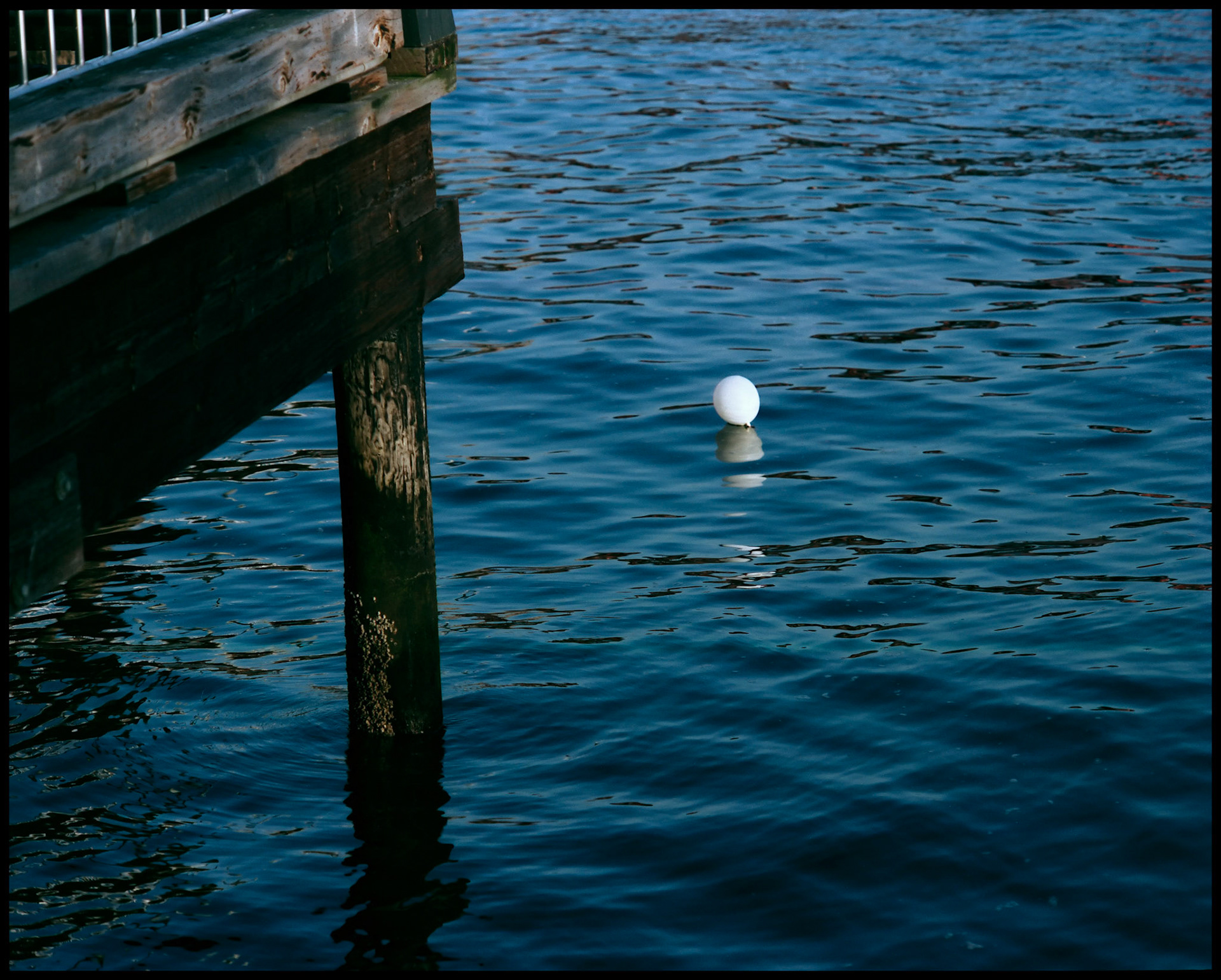 A white balloon floating in blue rippled water off a pier at the Puget Sound waterfront in Seattle Washington, 1988