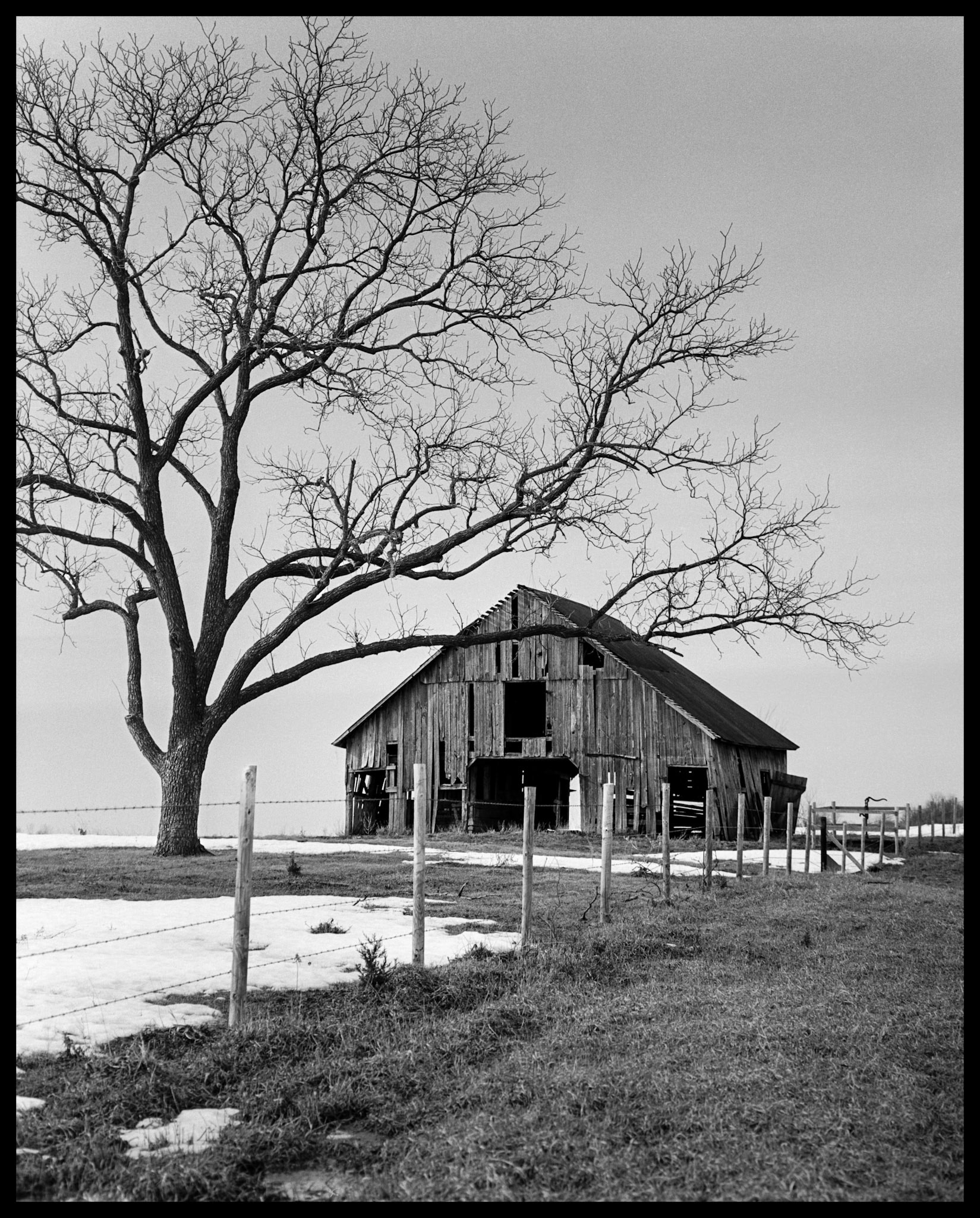 A vintage black and white photograph of a dilapidated wooden barn framed by a solitary silhouetted leafless tree and a  barbed wire fencerow on a cold winter's day surrounded by patches of snow. Near Pure Air, Missouri at the intersection of Highways BB and 149. 1978