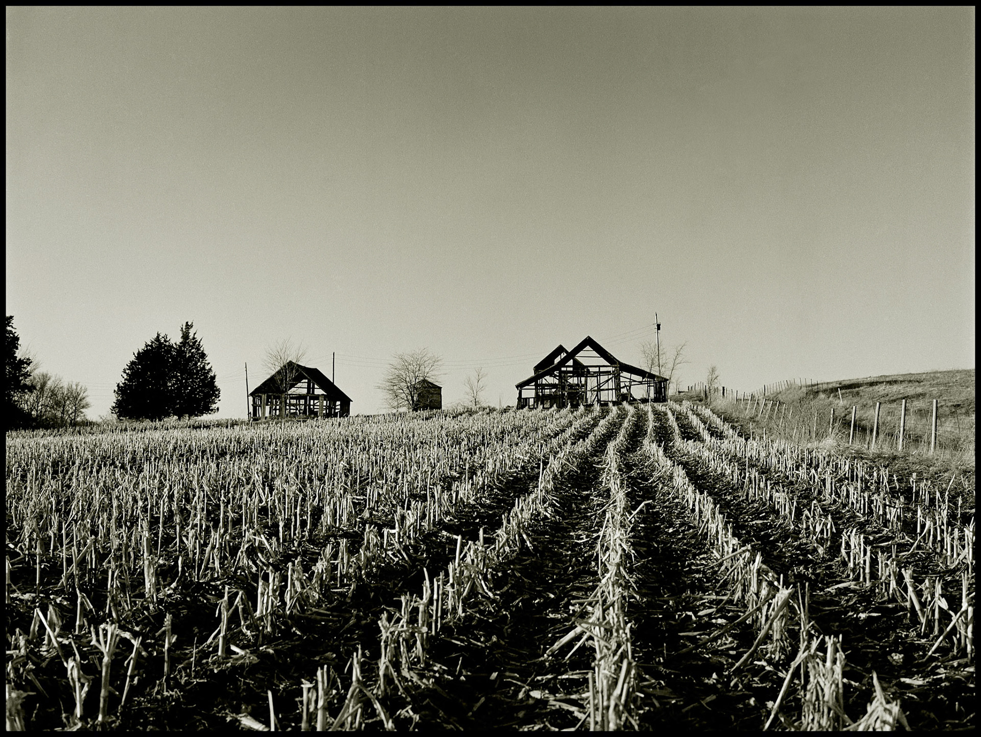A sepia toned black and white landscape of barn skeletons at the edge of a harvested field of corn next to a fence row and dirt road in rural Missouri. 1979