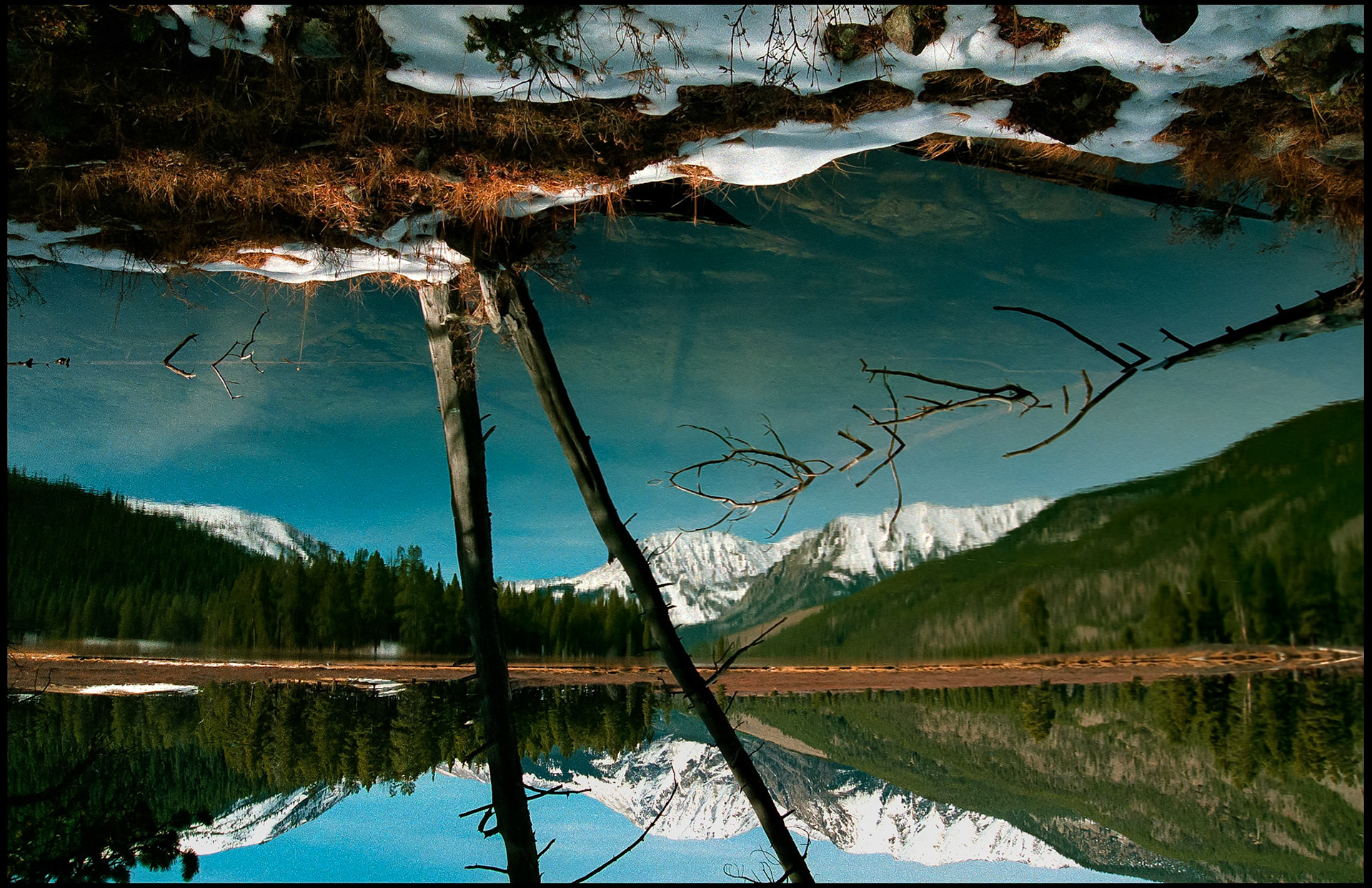 An abstract, disorienting inverse image of snowcapped mountains reflected in mountain lake with a tree on the lake shore in the foreground showing both the reflective and transmissive quality of water. Texas Lake in Taylor Park near Tin Cup, Colorado USA  1993