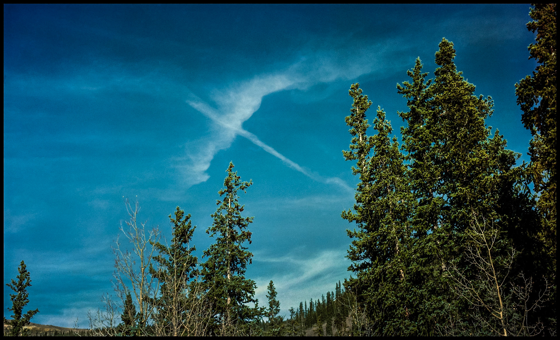 Two intersecting vapor trails in varying states of diffusion resembling a giant bird in the sky. New Mexico USA 1993