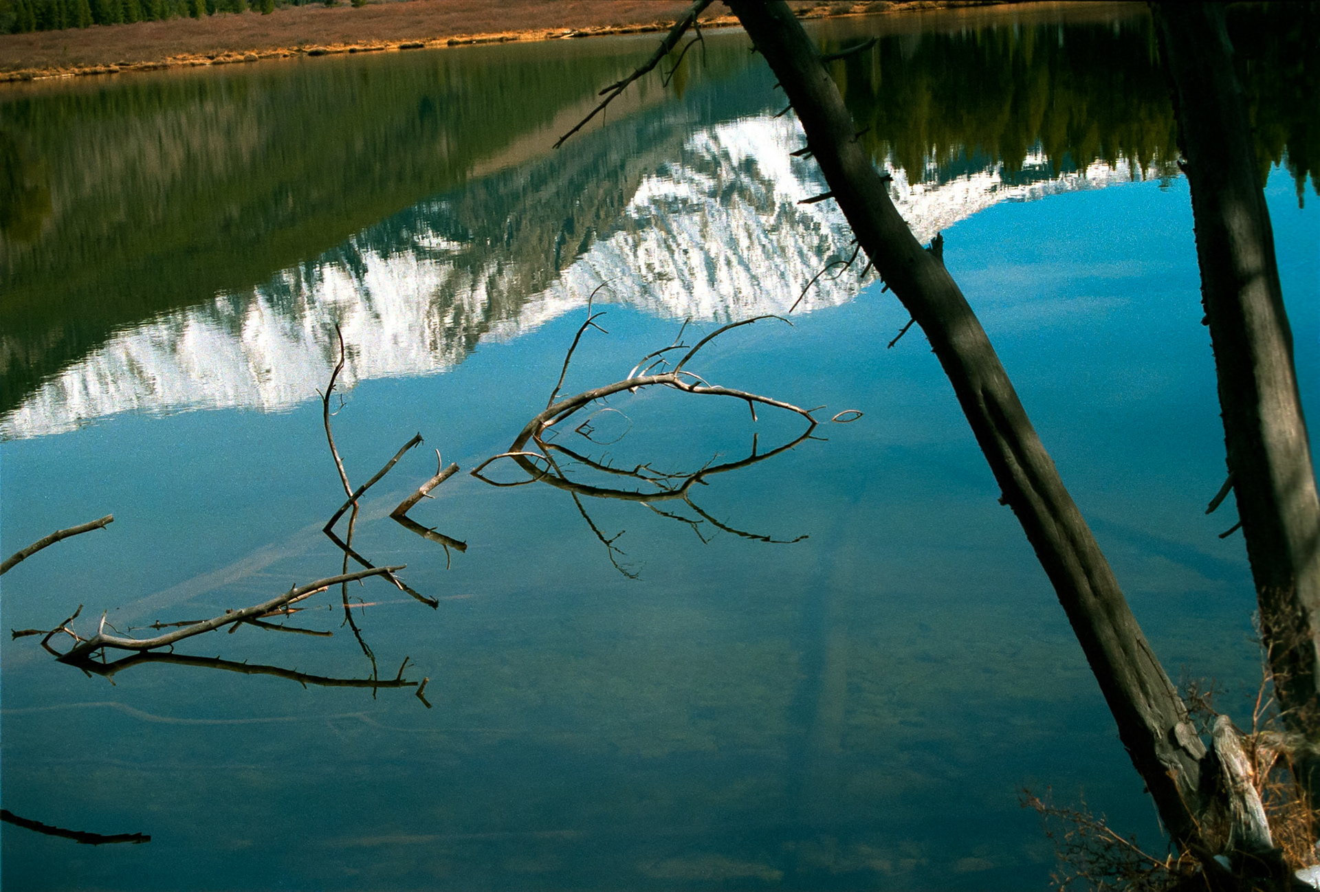 An abstract minimal Colorado scenic detail of a snow covered mountain and blue sky reflection in a clear mountain lake with a partially submerged dead tree and sunken trees near Taylor Park. Unique angular perspective showcases water's transparent and reflective qualities. Texas Lake in Taylor Park, near Tin Cup Colorado USA