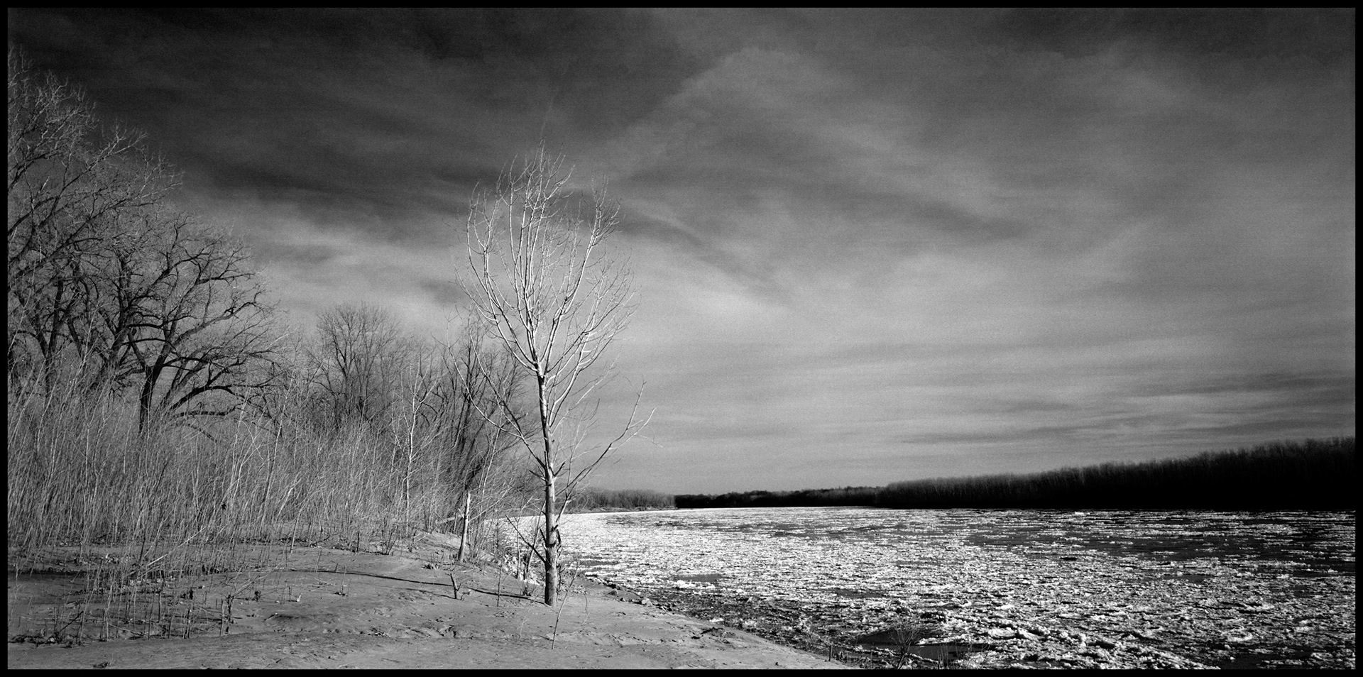 A vintage winter landscape of a solitary tree on the bank of a bend in the Missouri River next to chunks of ice flowing down the river during the early Spring thaw. Franklin Island near New Franklin, Missouri USA, 1993.