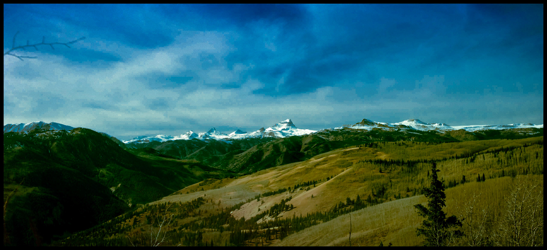 A vintage view of several of the freshly snowcapped peaks in the Uncompahgre Wilderness Area in the San Juan mountains in Southwest Colorado. The largest peak in the middle is Uncompahgre. Then to it's left are Coxcomb, Matterhorn, and Wetterhorn peaks repectively. This view was captured from the Windy Point Observation Area at Slumgullion Pass near Lake City Colorado USA, 1993