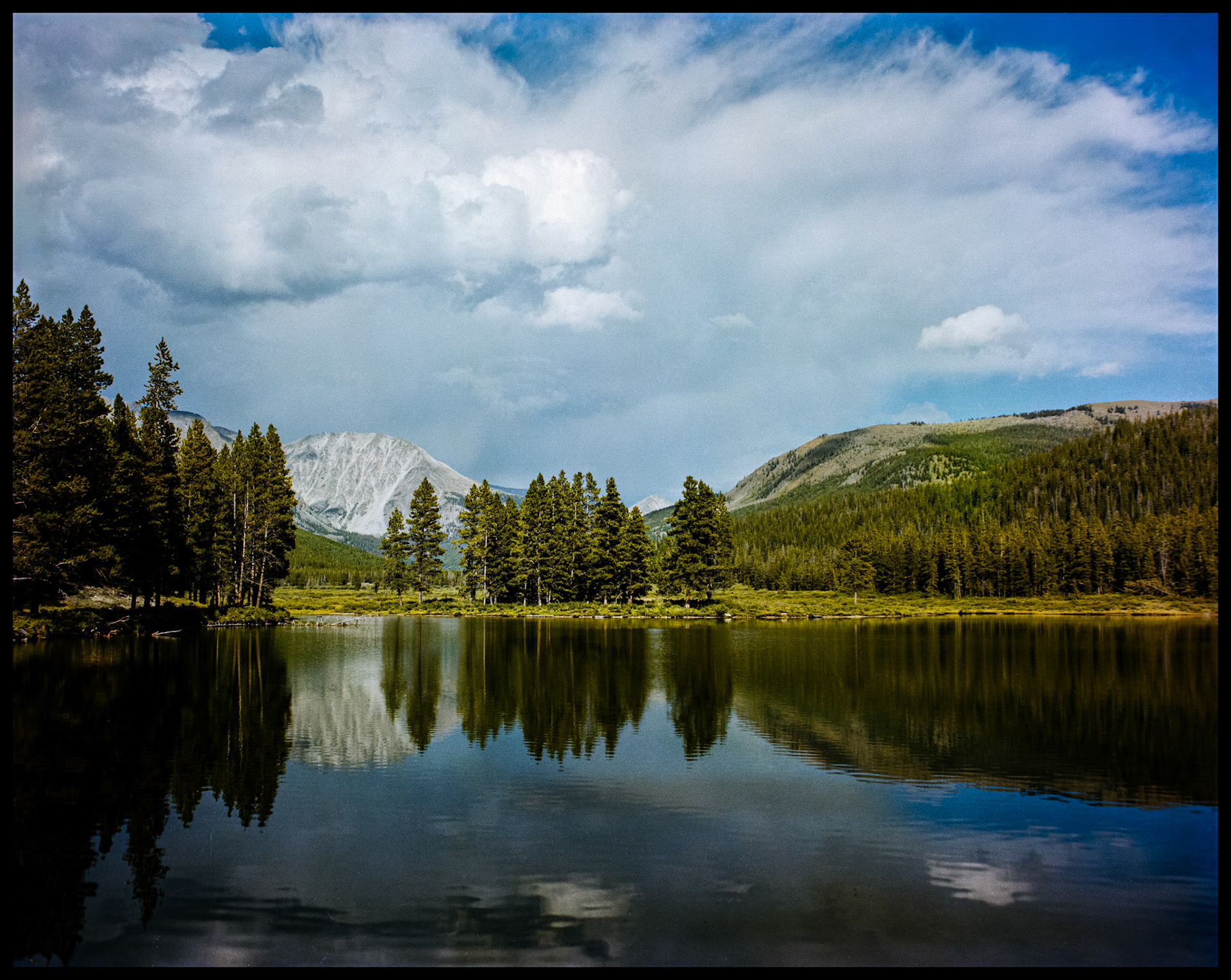 A grove of Lodgepole Pine trees and a mountain ridge that leads to Emerald Peak reflected in the waters of one of the Texas Lakes in Taylor Park near Tincup, Colorado with billowing clouds in the background. 1981