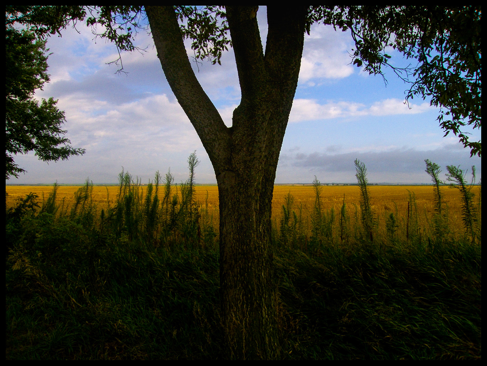 The view one morning as I stepped out of my Airstream travel trailer in Smith Center Kansas on my way to Colorado. 2007