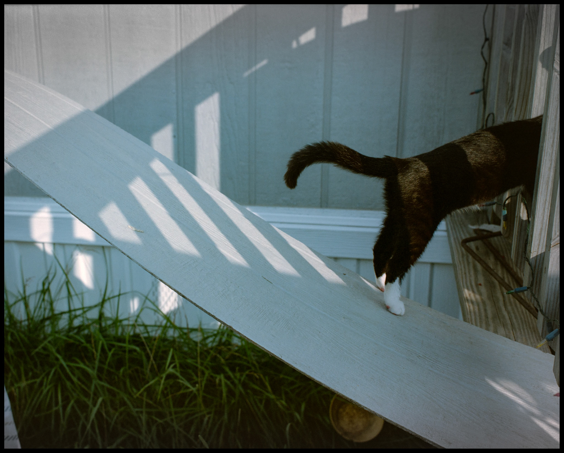 A minimal abstract detail of a cat stepping off of a plank onto a porch with interesting shadows. Near Renick, Missouri 1998