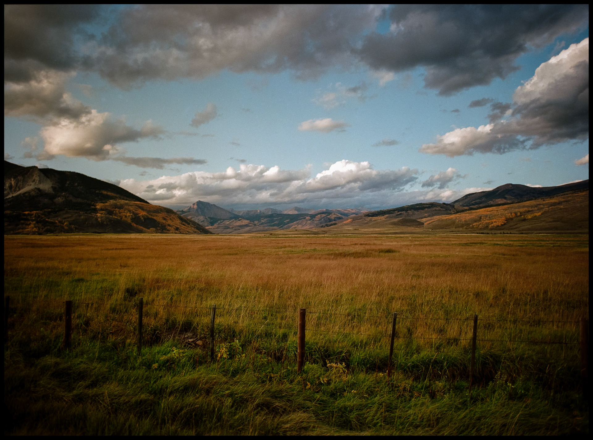 A mountain meadow near Crested Butte, Colorado strewn with golden and green grass with a fencerow in the foreground and the Rocky Mountains large colorful clouds in the background.