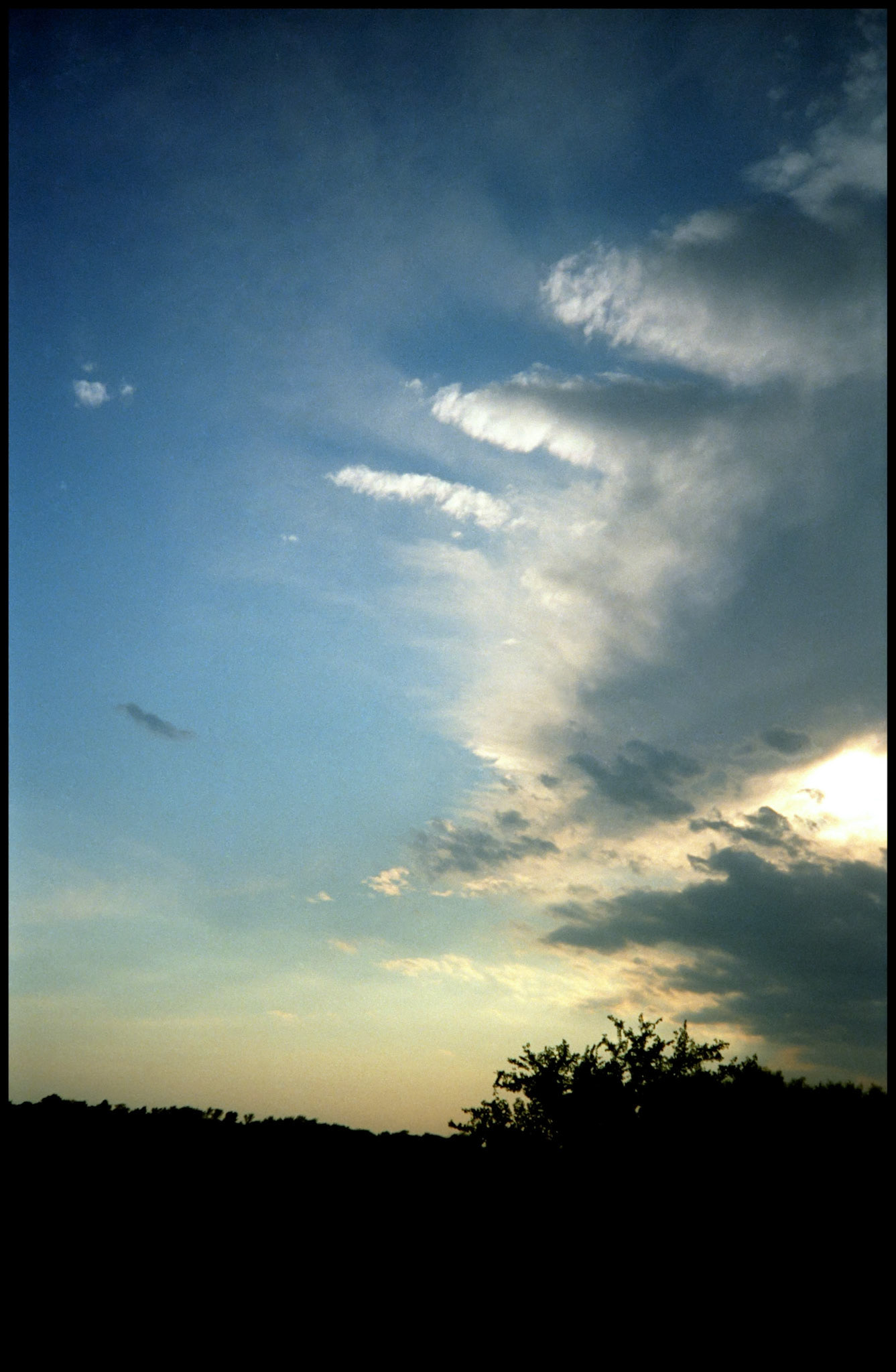 Finger shaped ridges protruding from a sunlit cloud at sunset against deep blue to yellow gradated sky and silhouetted trees. Near Hinton, Missouri, 1991.