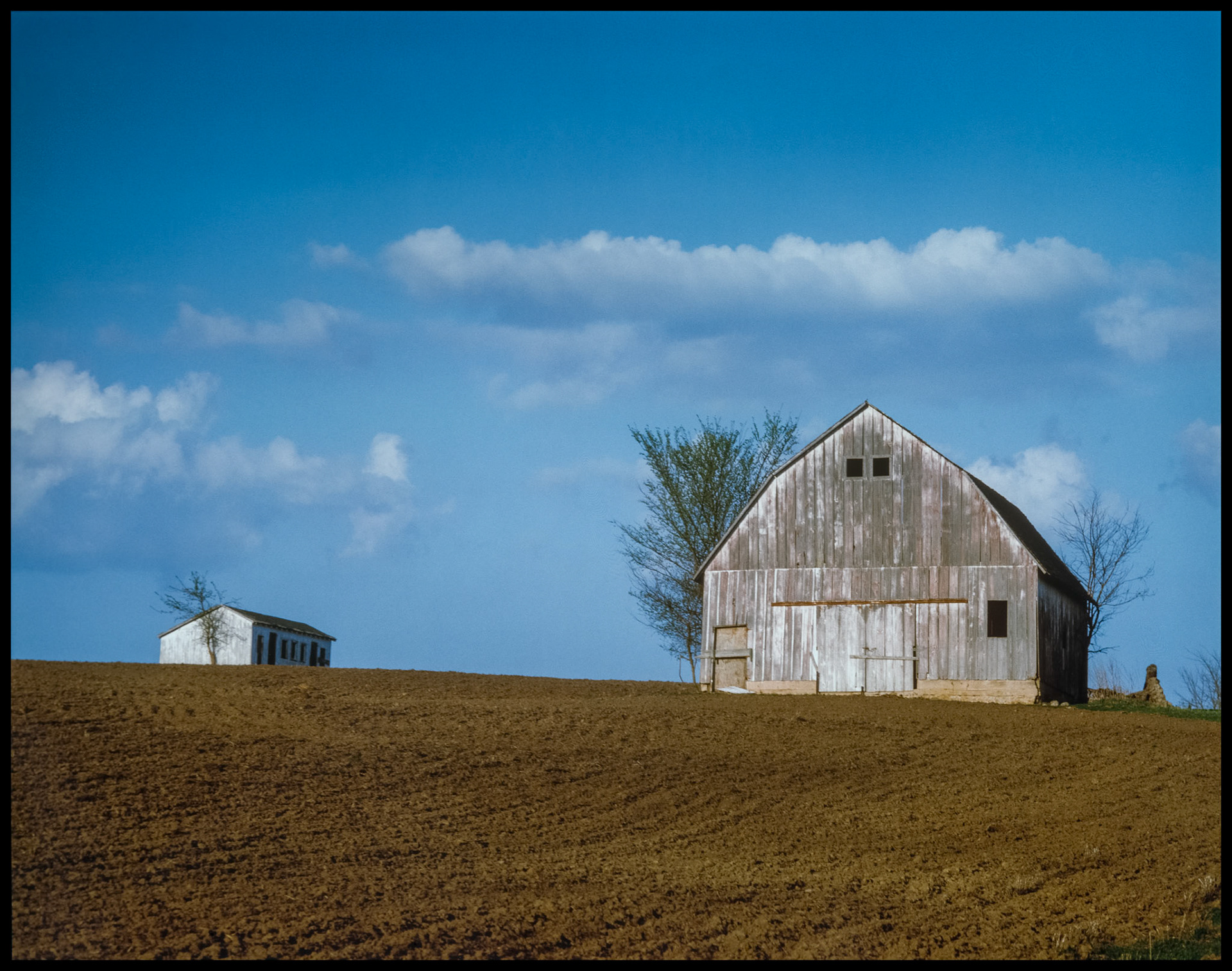 Two barns in the middle of a freshly plowed field with puffy clouds dotting the blues sky background in Northern Missouri. Published in Colorful Missouri (University of Missouri Press, 1988) Near Queen City, Missouri USA 1985