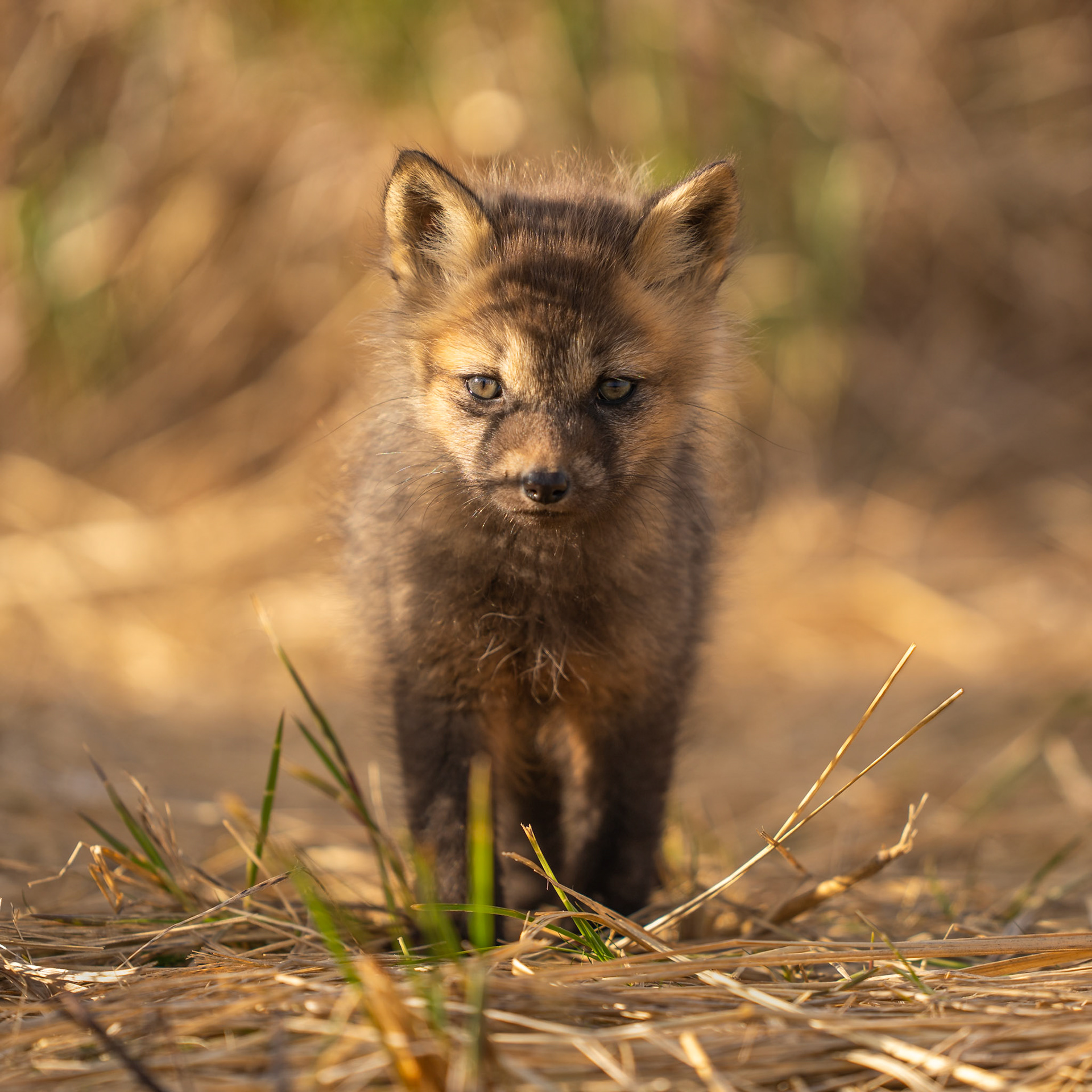 Standing guard