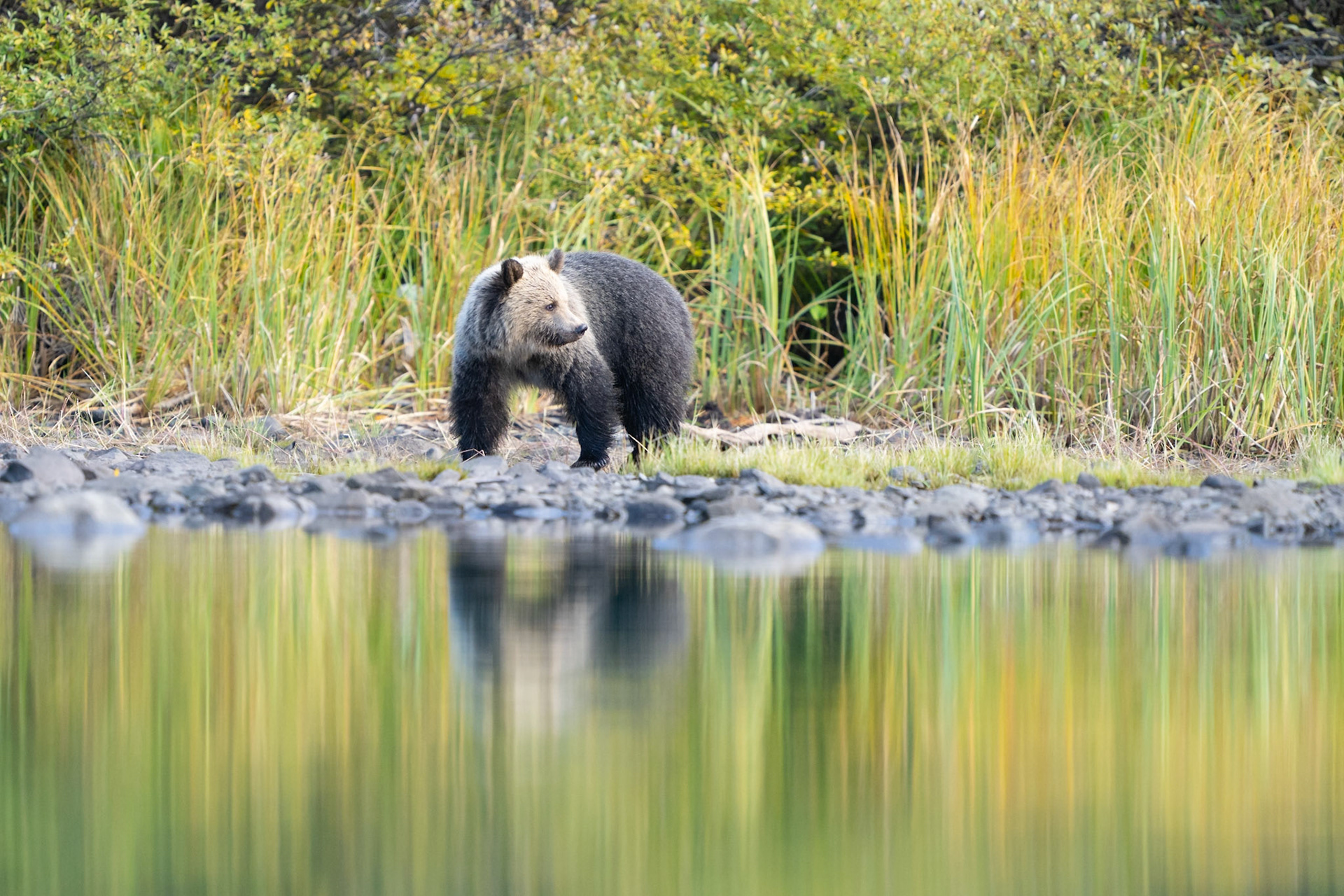 Where did everybody go?