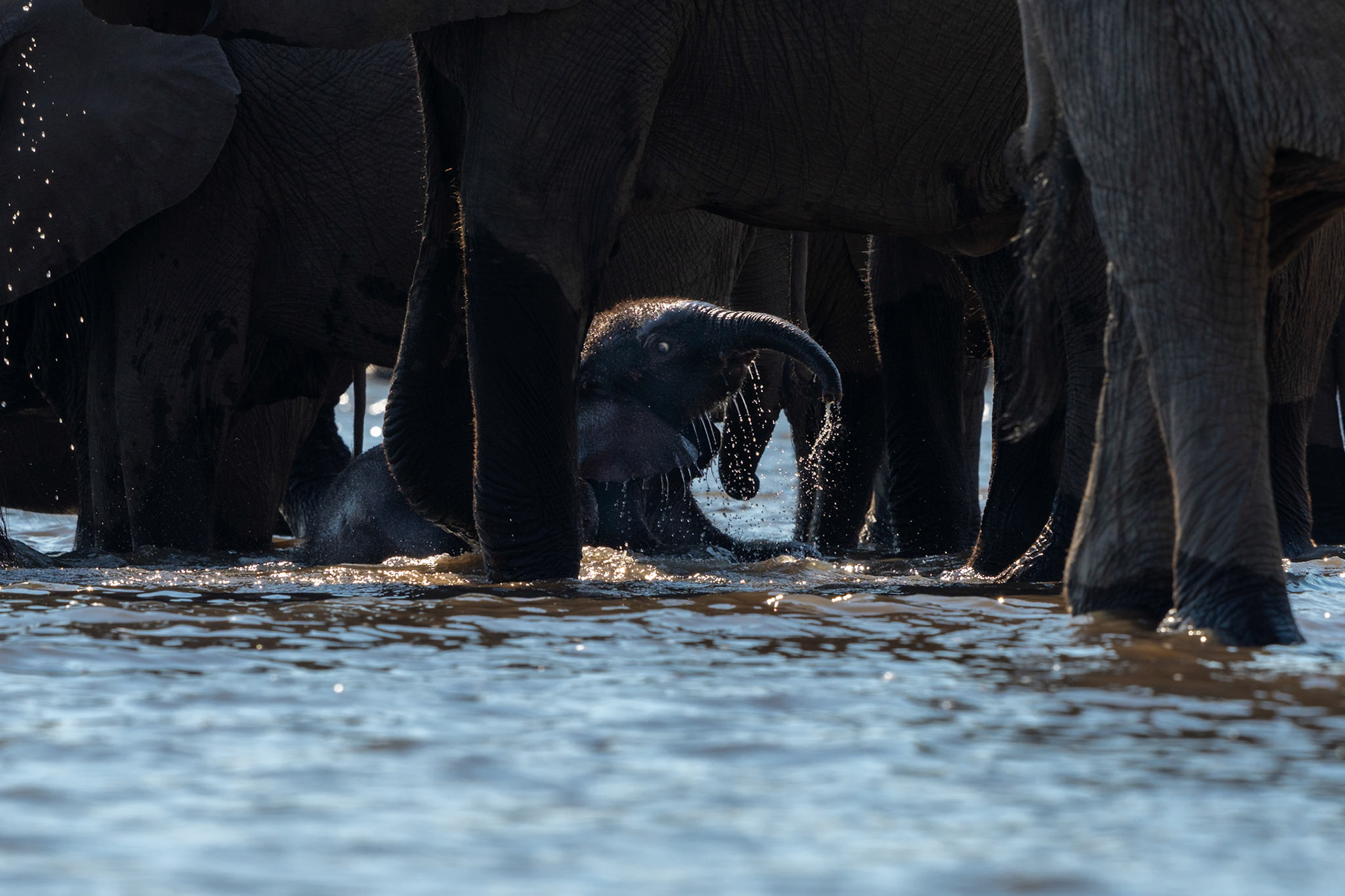 At the feet of giants