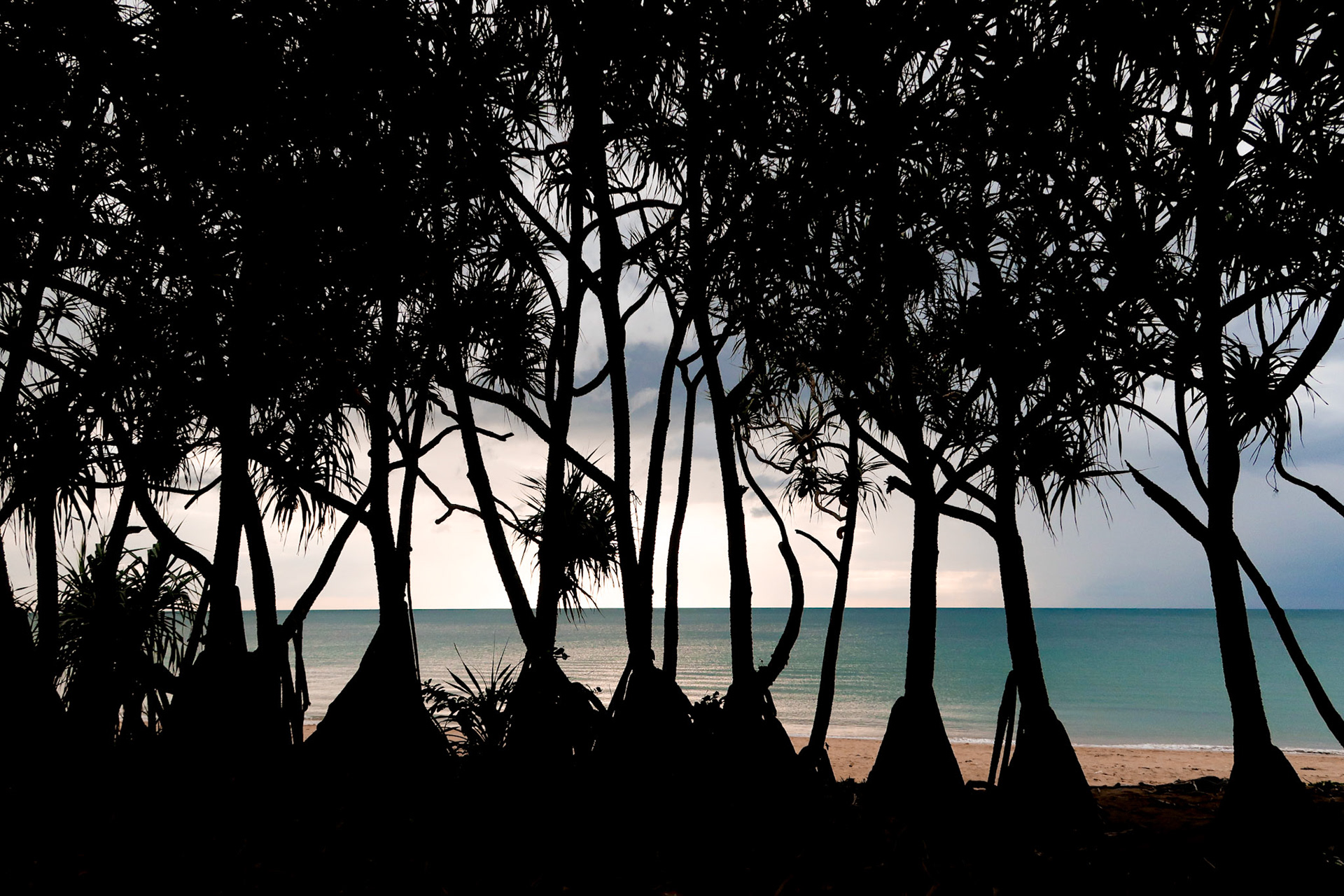 A view of the sea through trees – Koh Lanta, Thailand