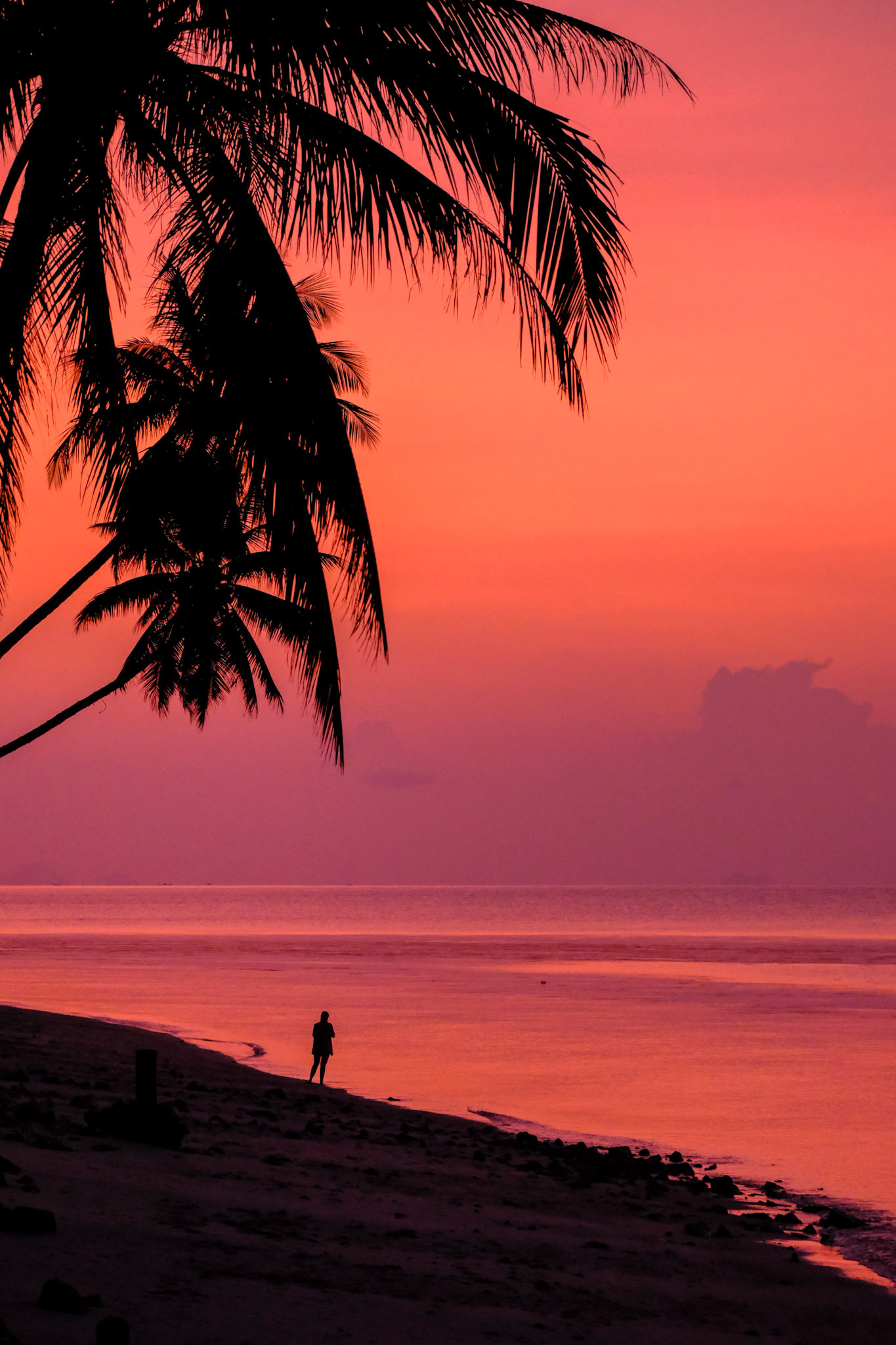 A woman stands on the beach at sunset – Maenam Beach, Koh Samui, Thailand
