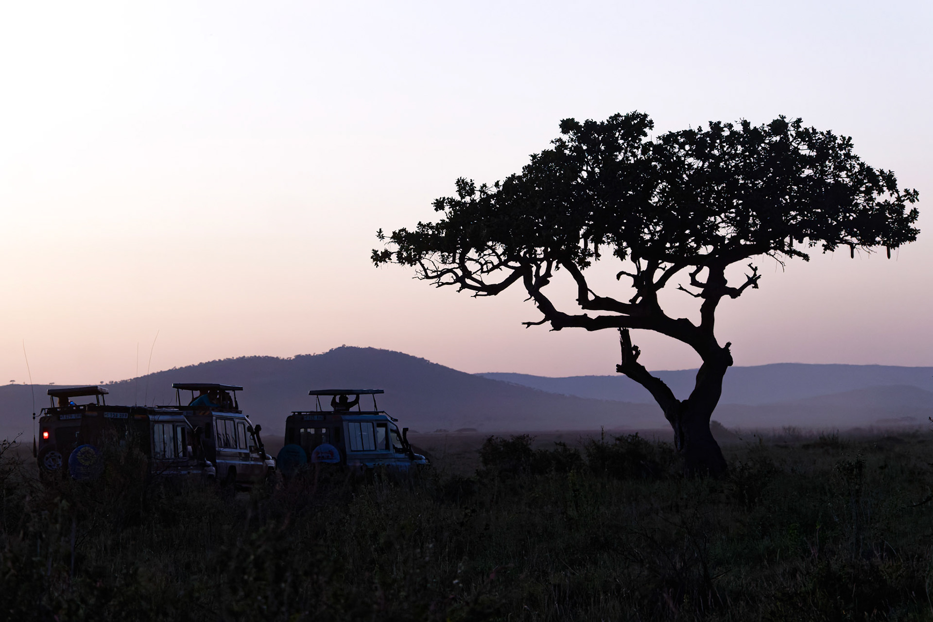 Serengeti, Tanzania