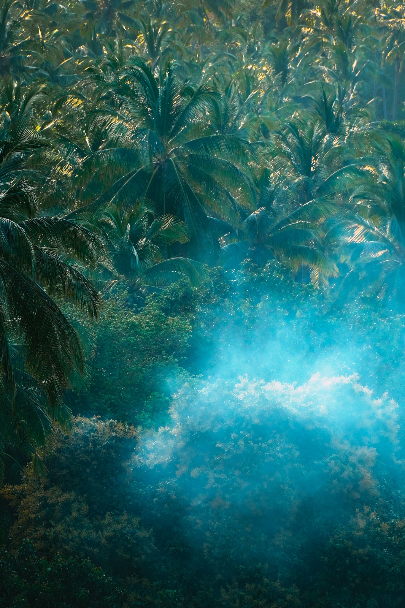 Smoke rises from the jungle– Ko Tao, Thailand