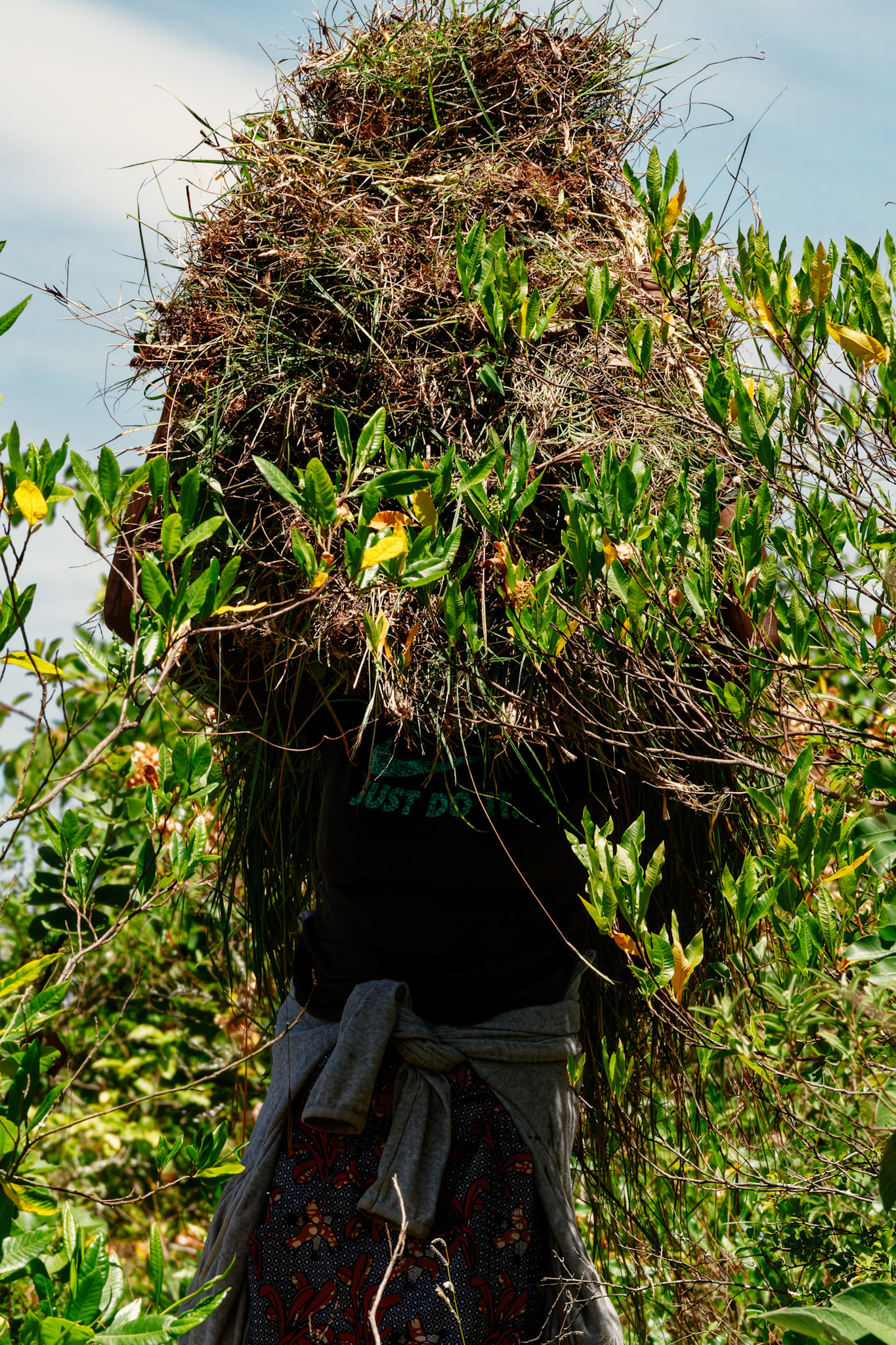 People carrying grass – Mwika Village, Kilimanjaro Region, Tanzania
