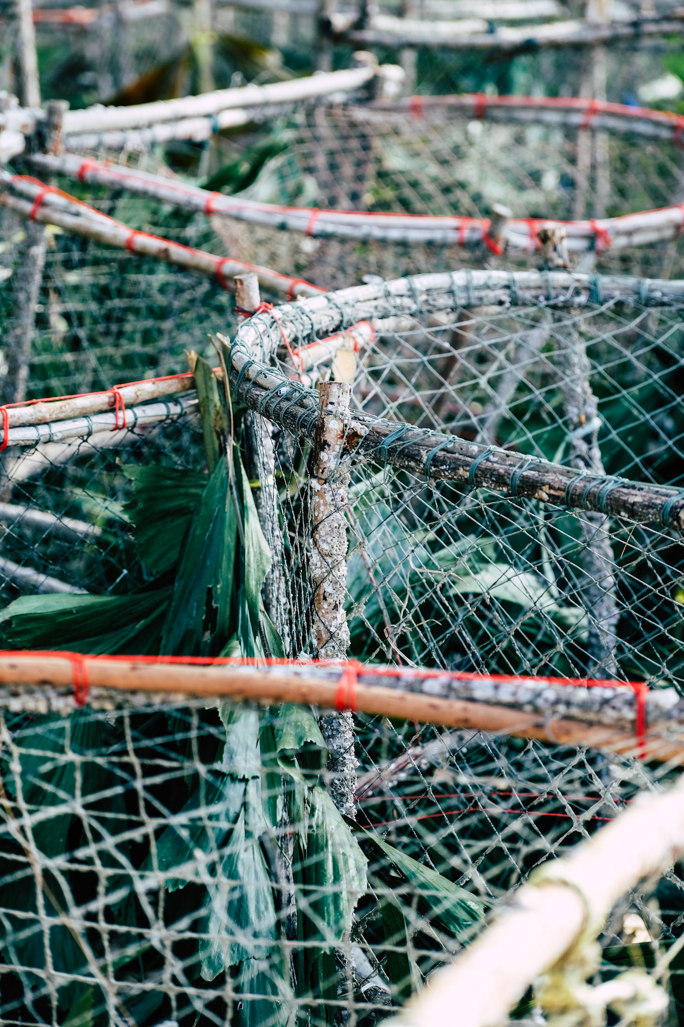 Fishing nets – Ko Pha-ngan, Thailand