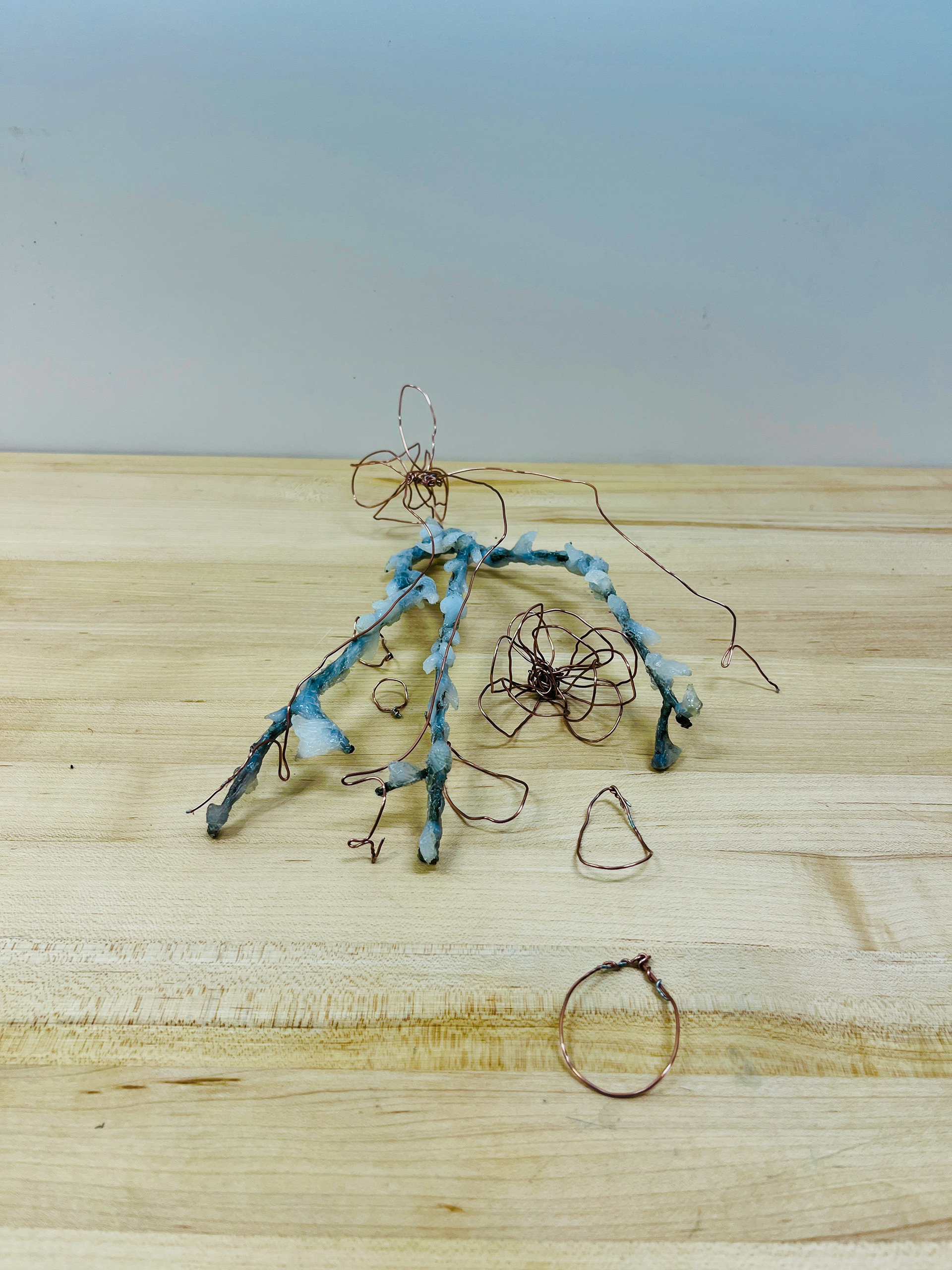 Biomimicry Assignment, Djovensky E., Art 210: 3D Design, Sp25