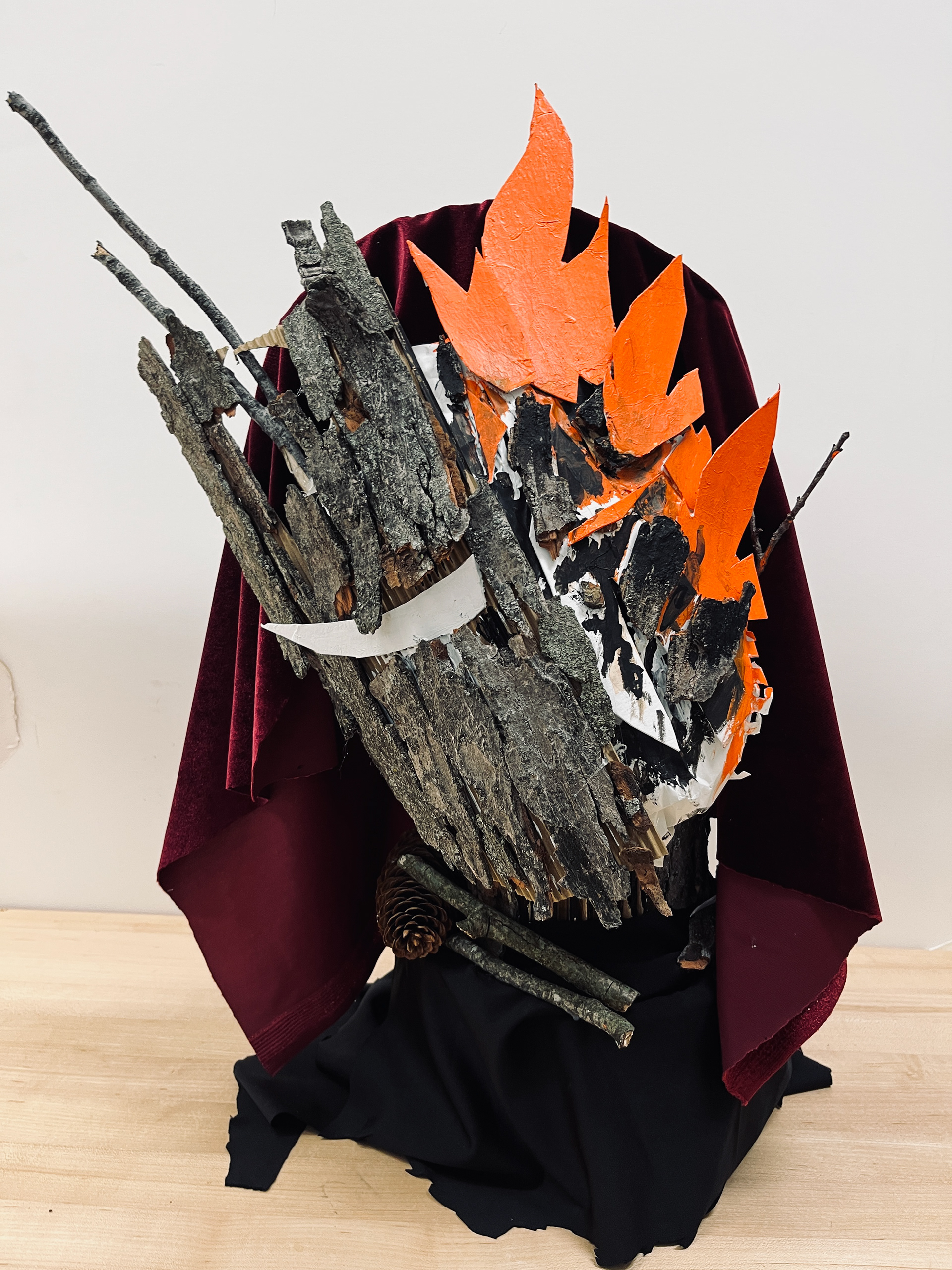 Biomimicry Assignment, Adonay C., Art 210: 3D Design, Sp25