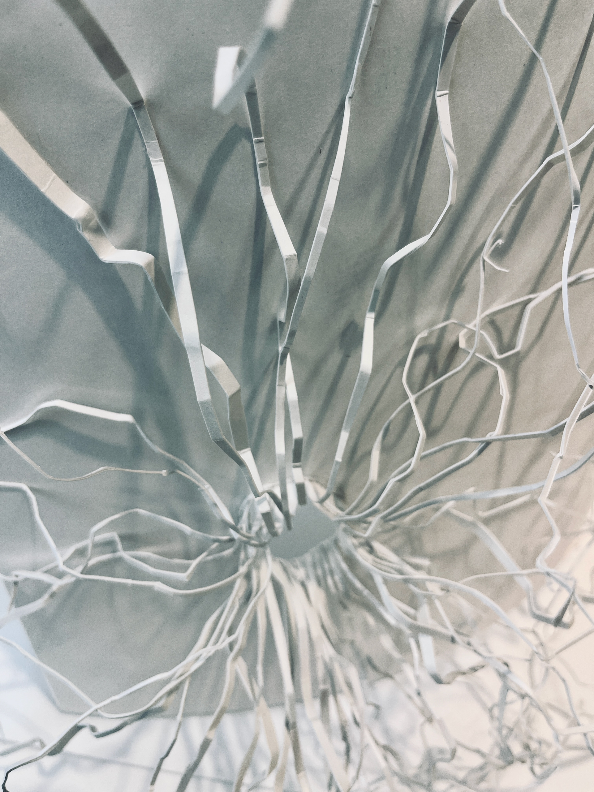 Planar Design, Detail, Alicia C., Art 210: 3D Design, Spring 2025