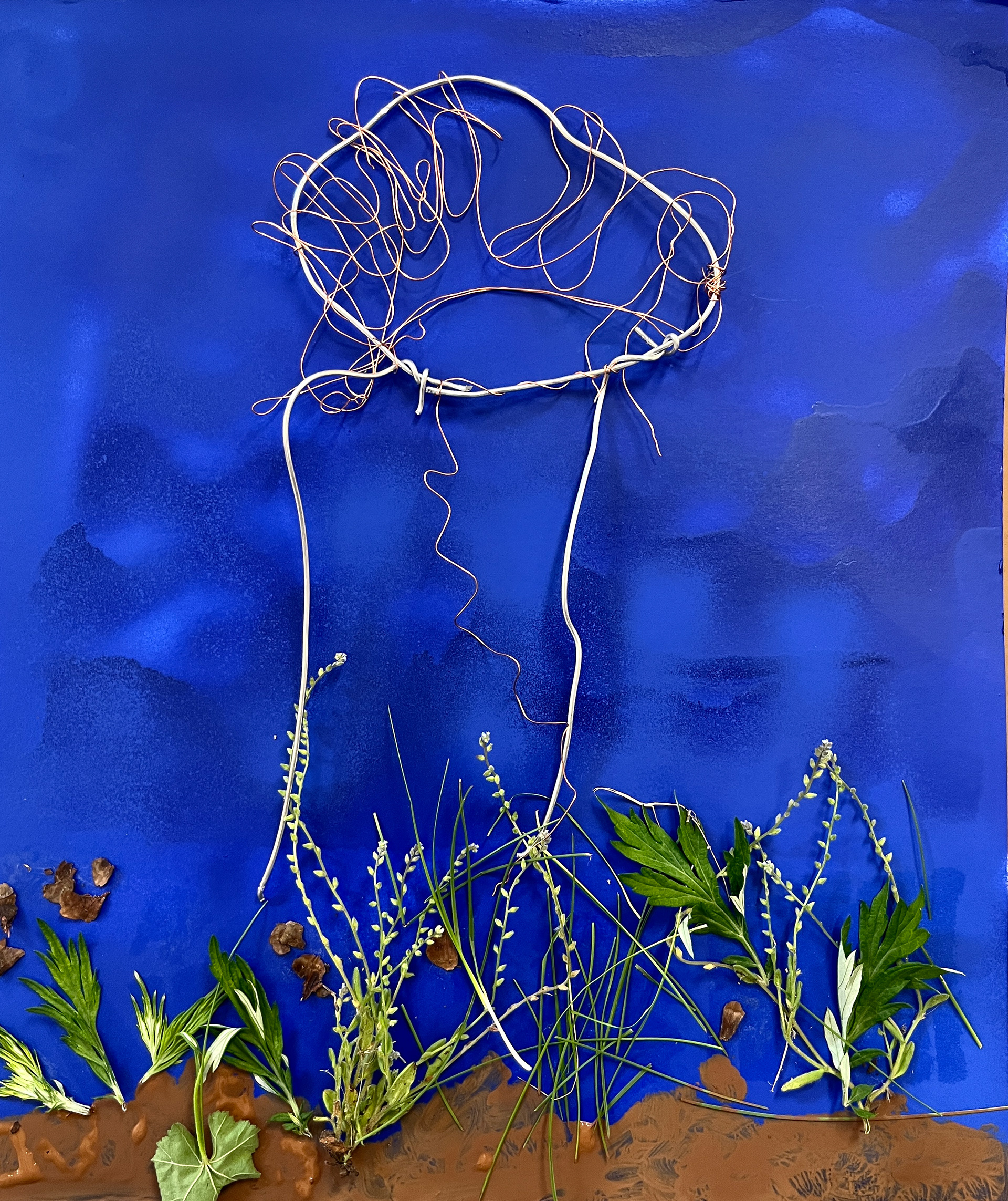 Biomimicry Assignment, Amna A., Art 210: 3D Design, Sp25