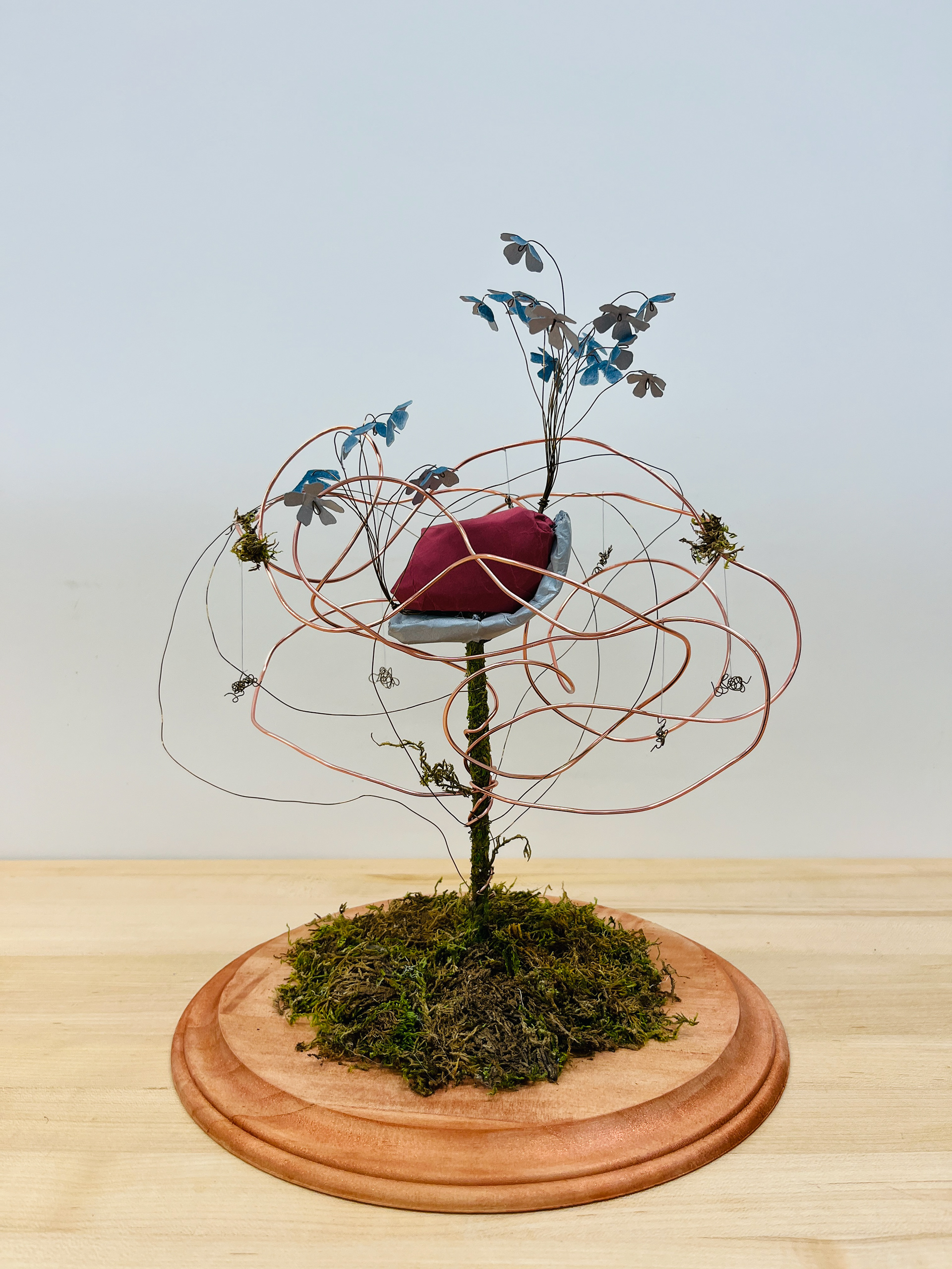 Biomimicry Assignment, Alicia C., Art 210: 3D Design, Sp25