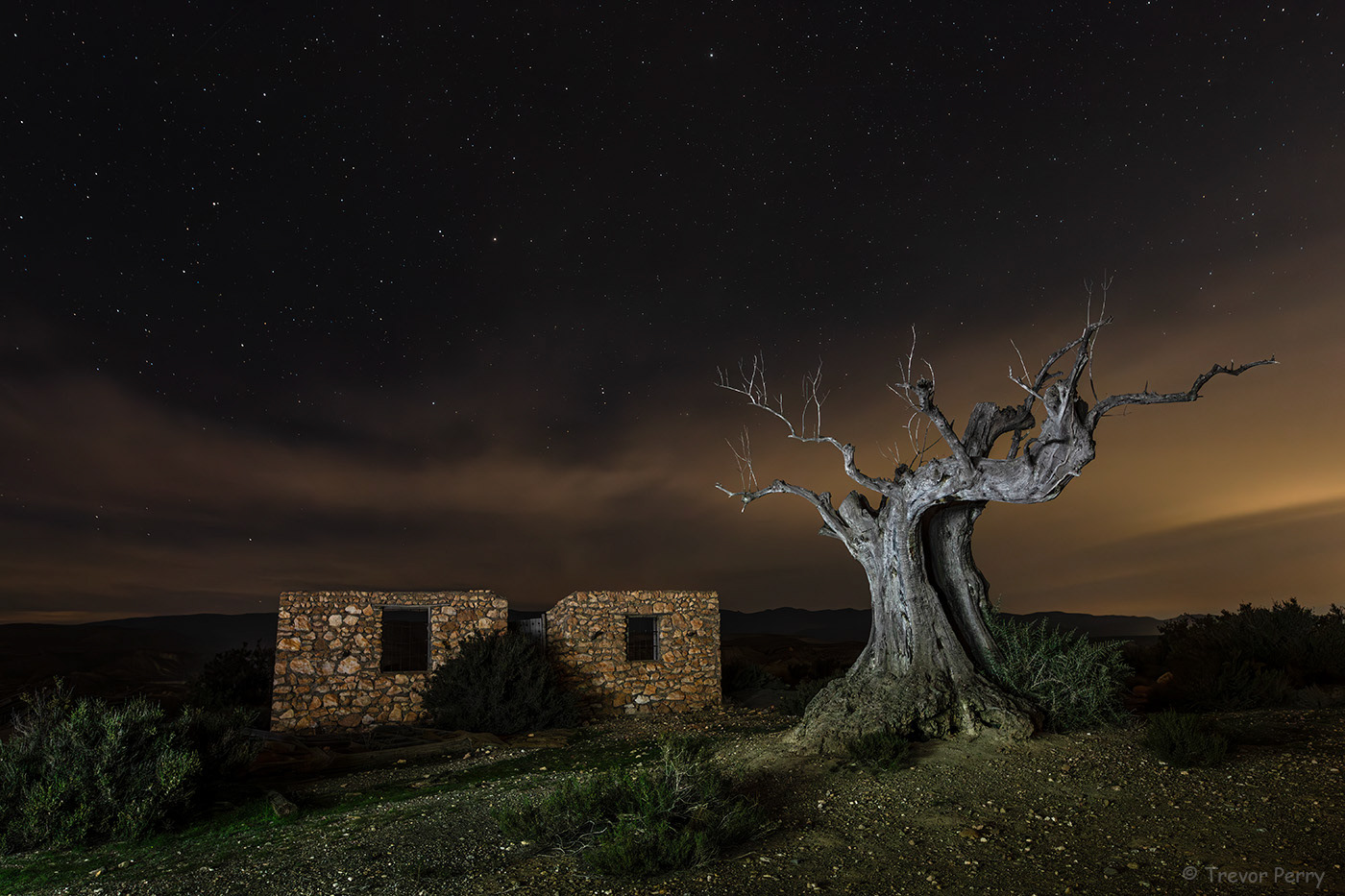 Tabernas