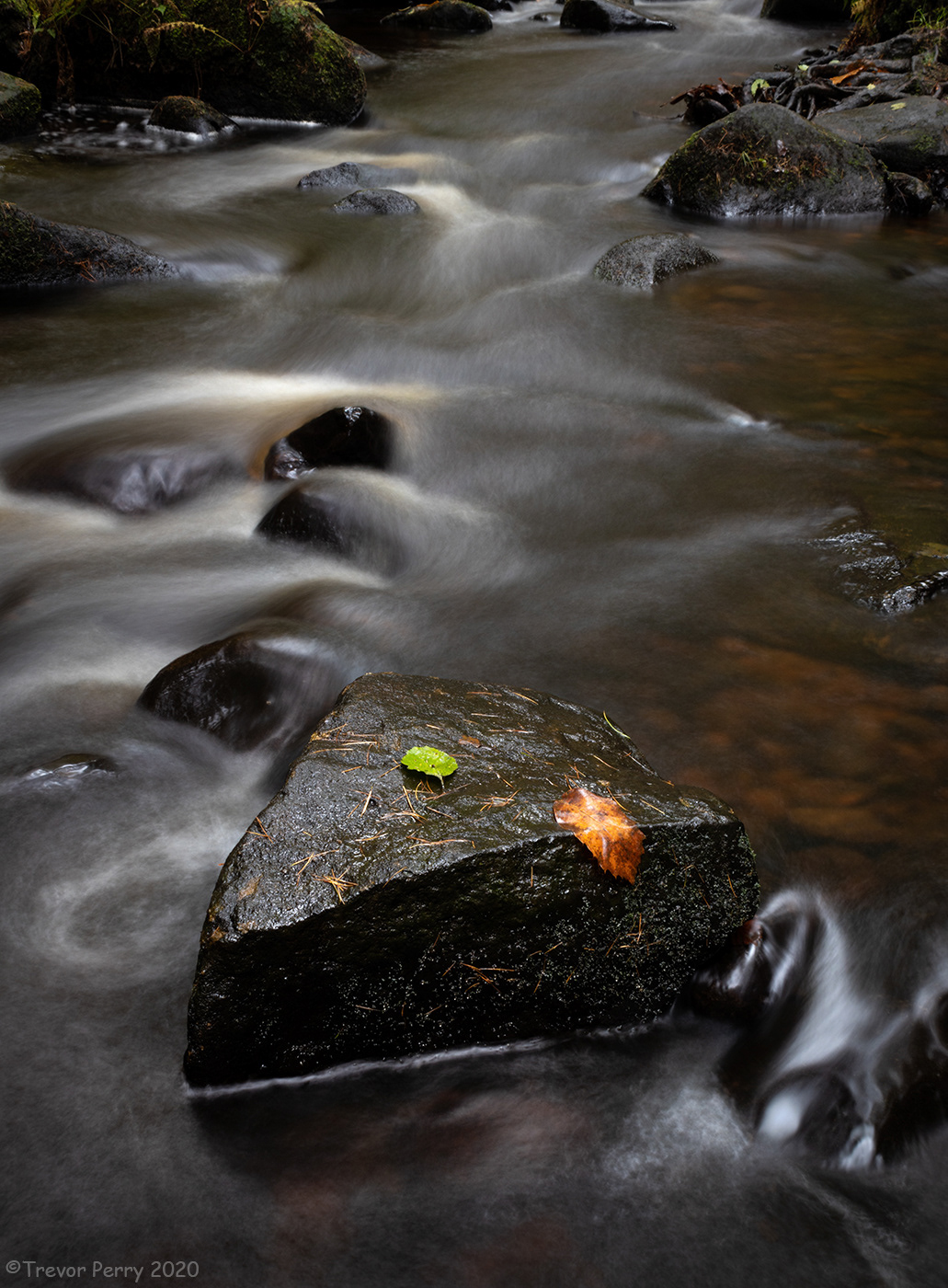 Middle Black Clough