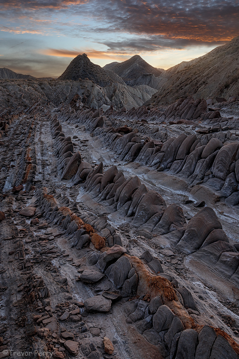 Tabernas
