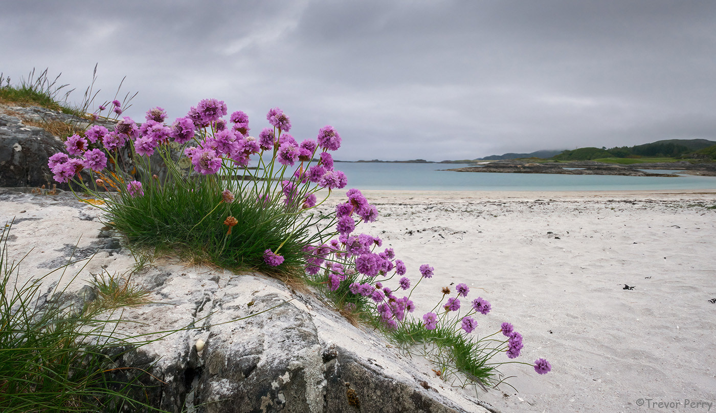 Triagh, Arisaig