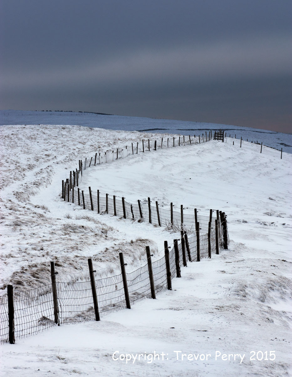 Cat & Fiddle