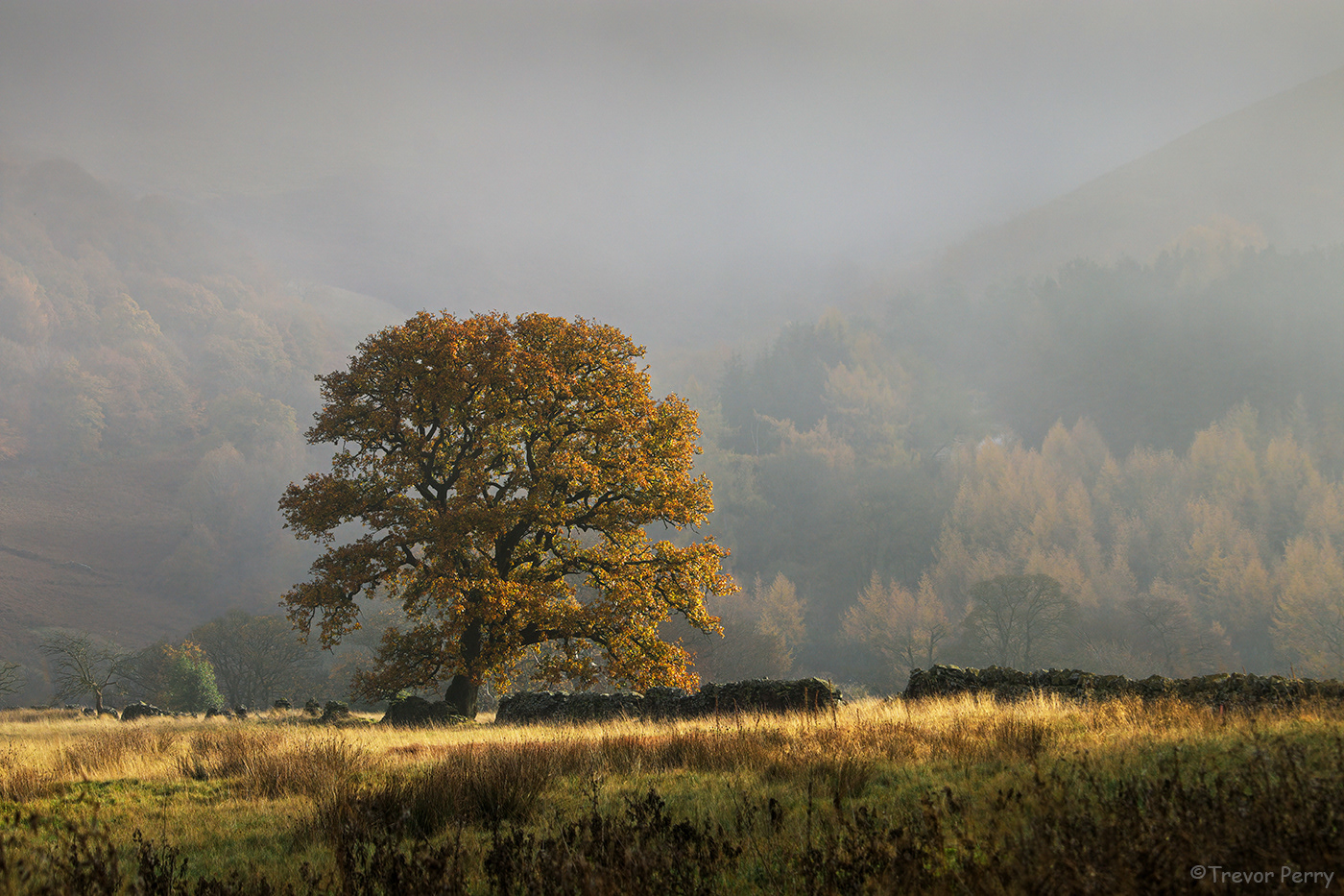 Goyt Valley