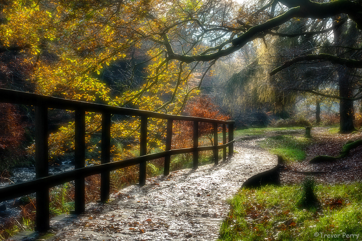 Goyt Valley