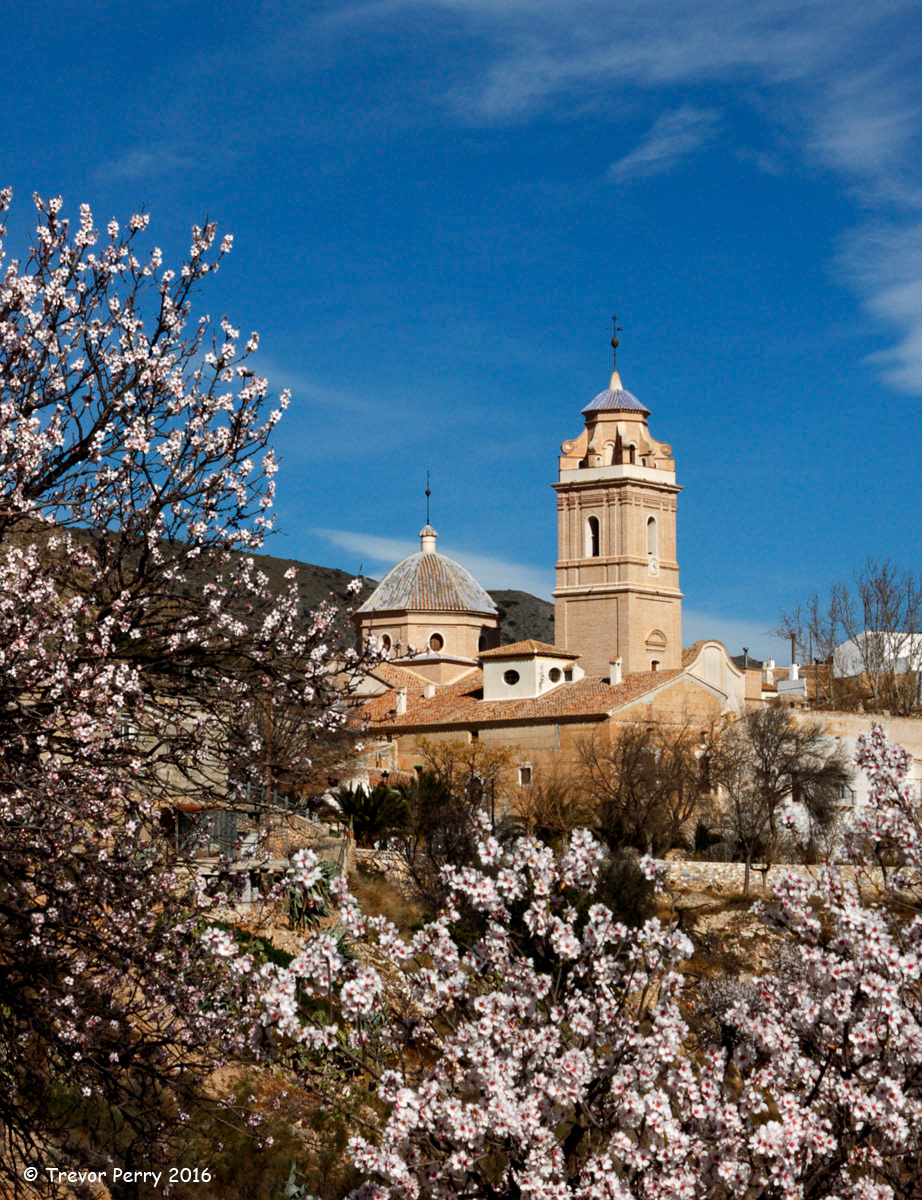 Oria