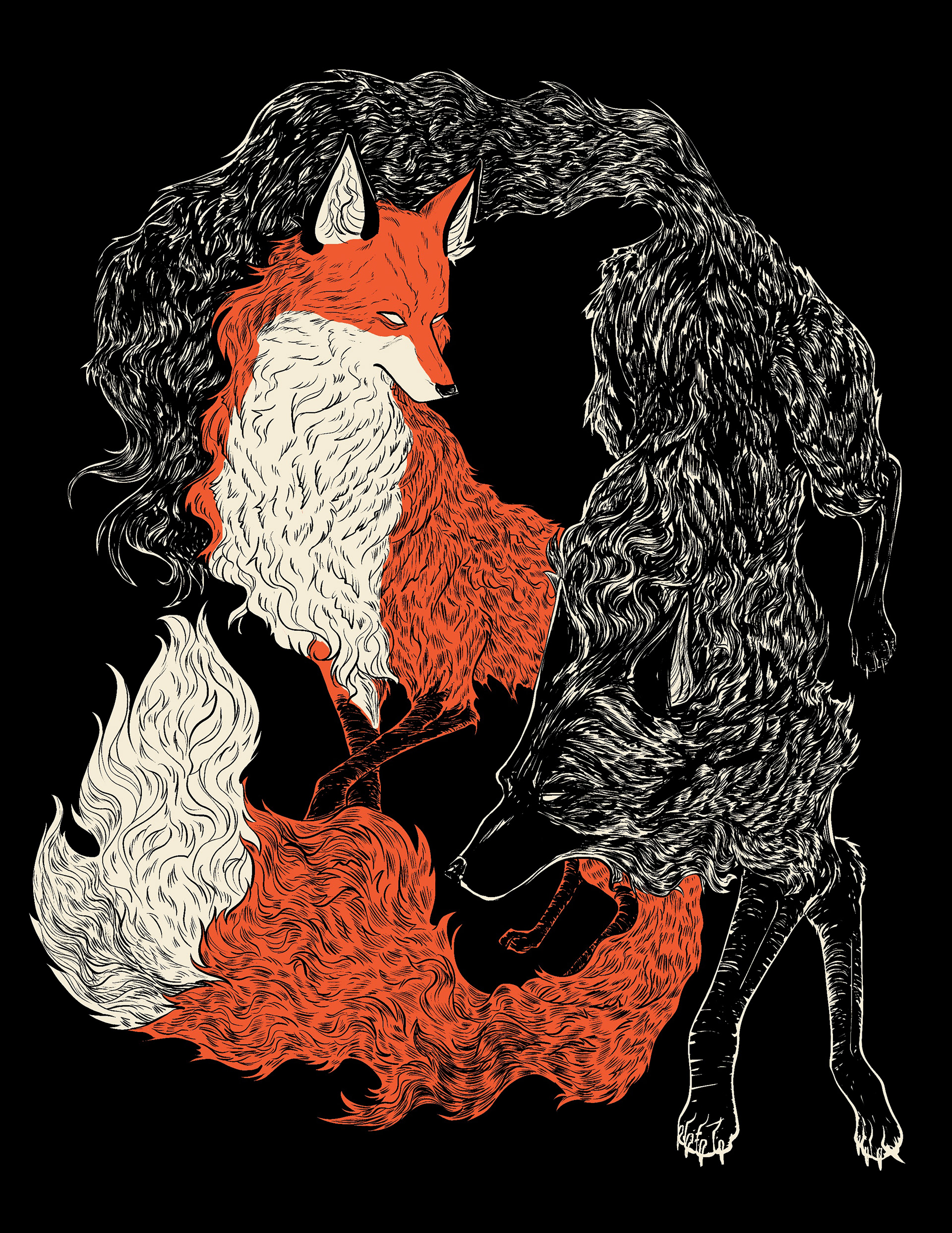 Wolf and Fox 2023
