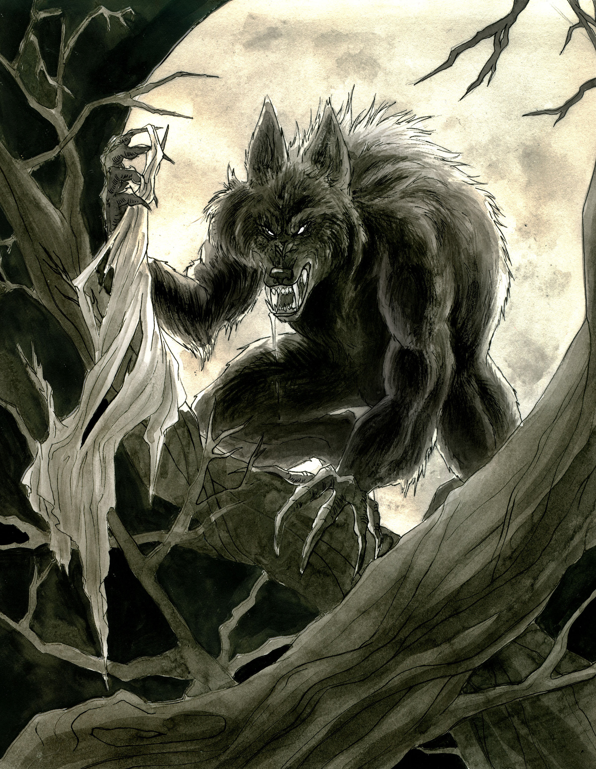 Werewolf book cover 2019