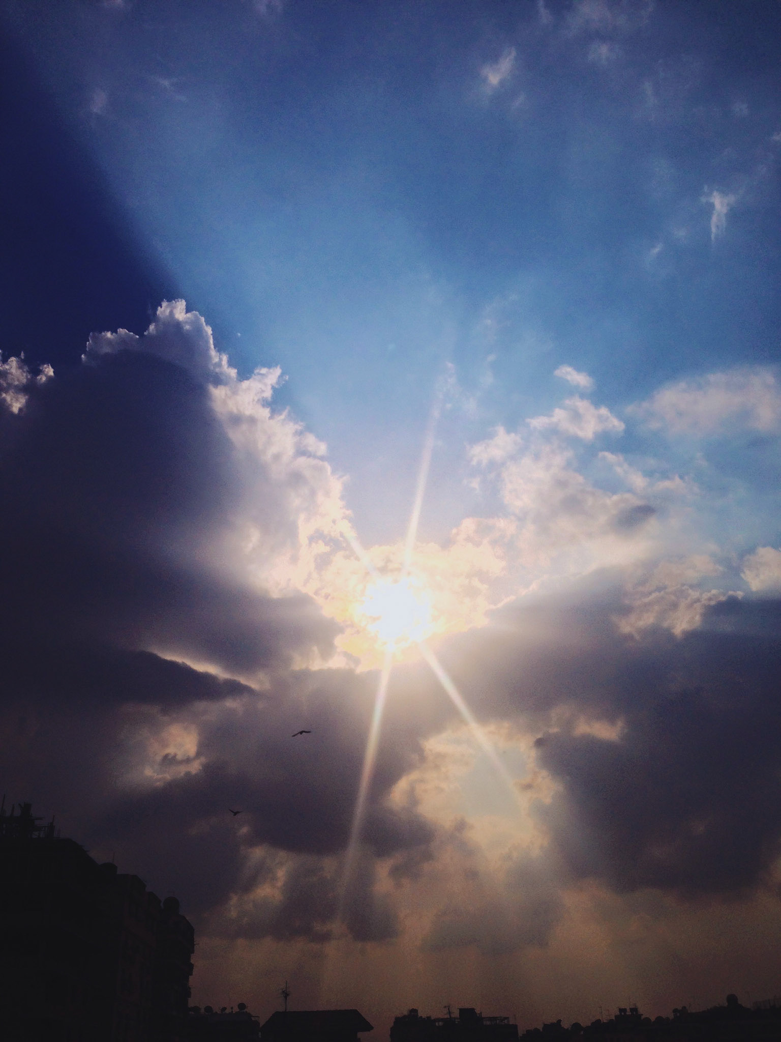 Processed with VSCOcam with lv01 preset