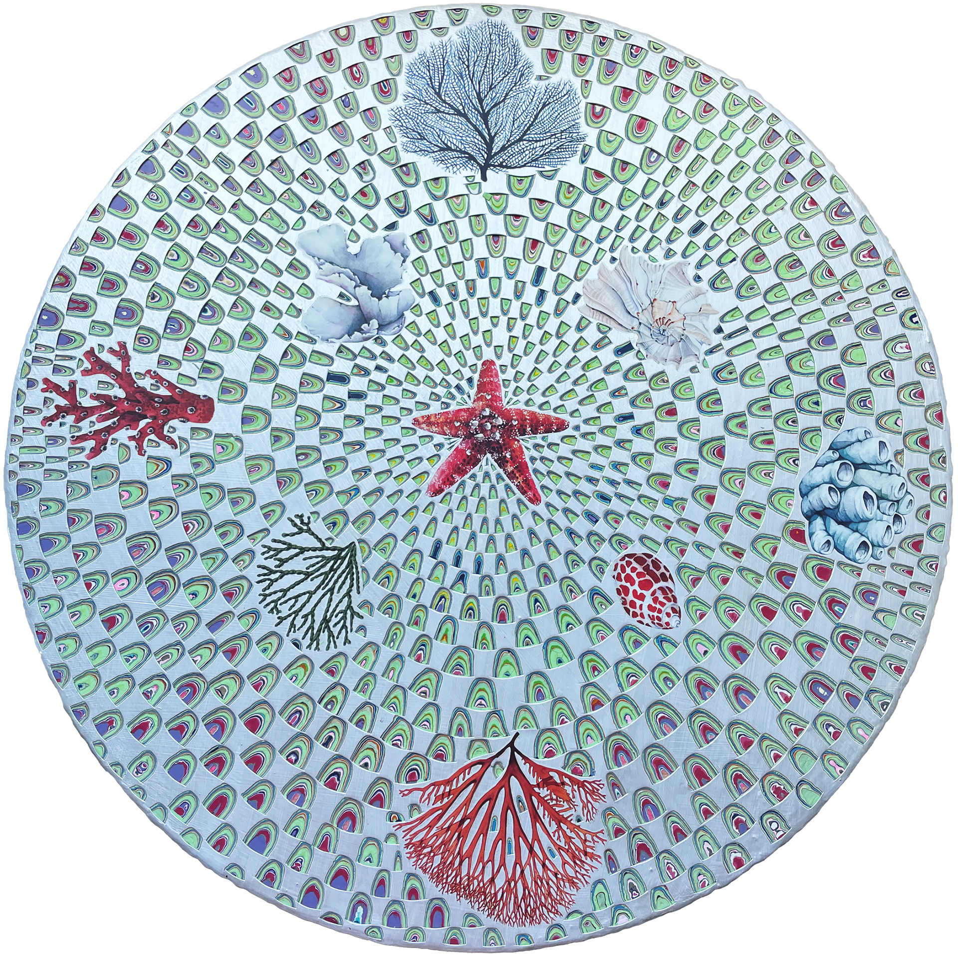 Coral, 2023, Enamel & Collaged images on Wood, 18in x 18in