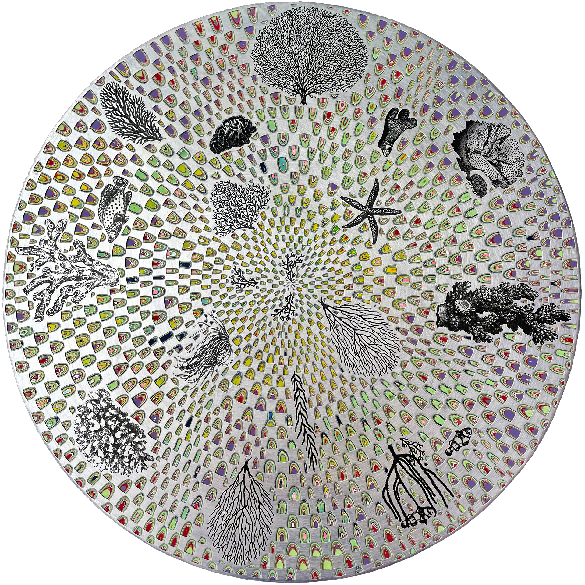 Stay Coral, 2024, Enamel & Collaged images on Wood, 24in x 24in