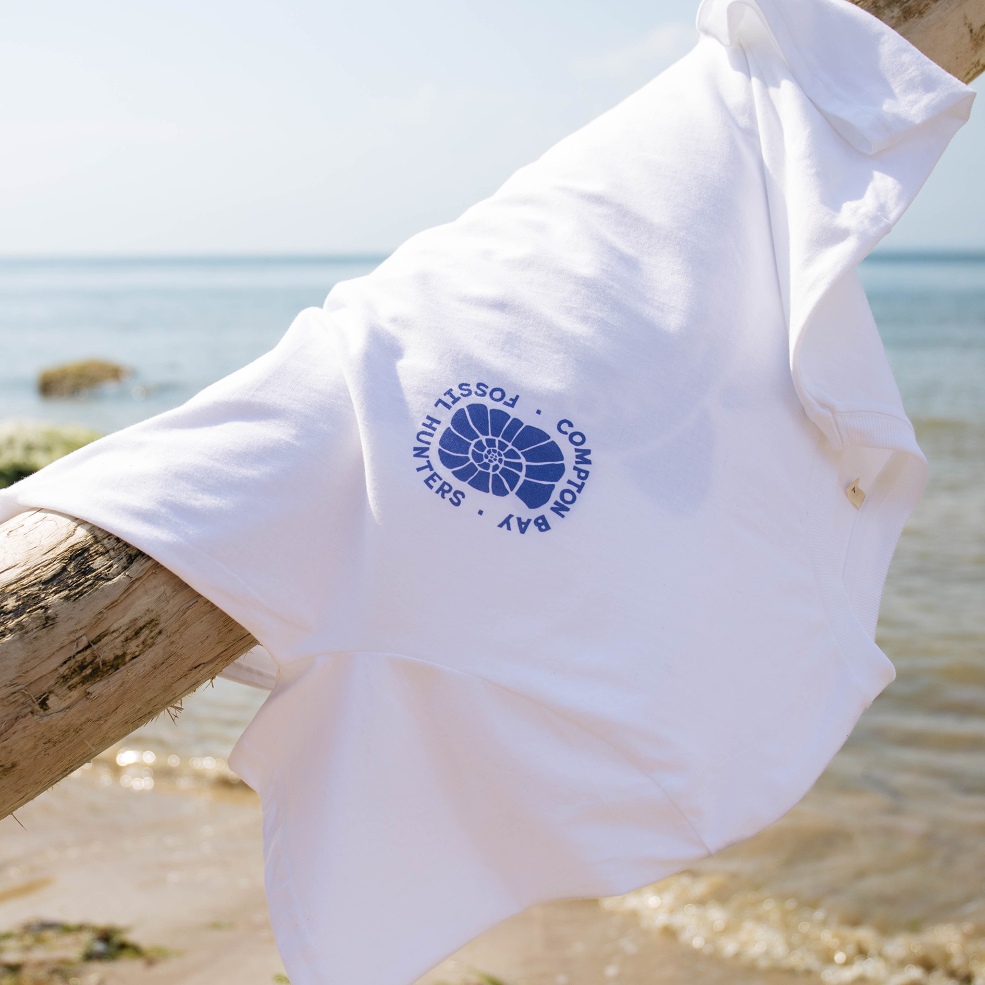 Compton Bay Fossil Hunters - Front