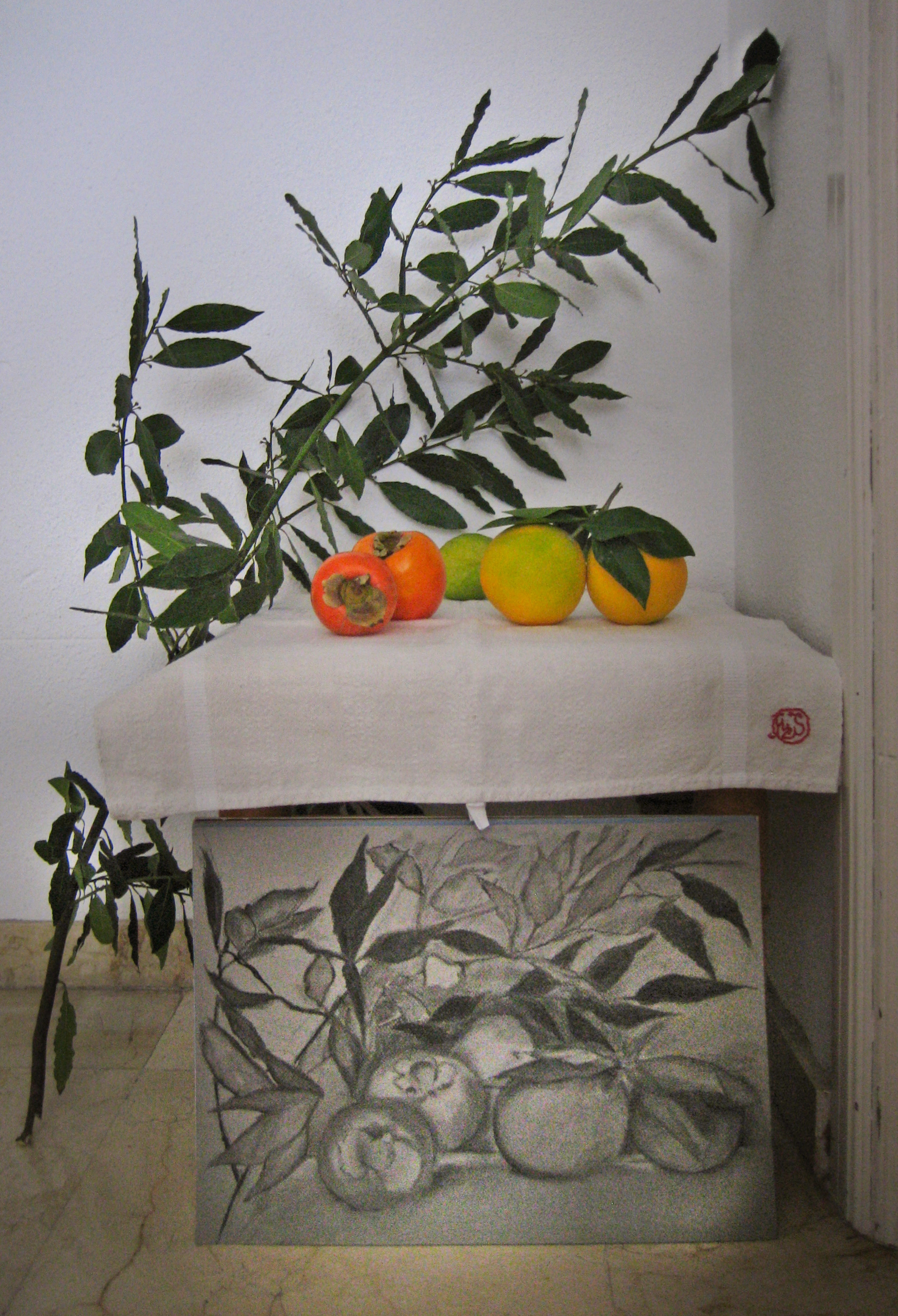 Studio/Atelier- Naikari Díaz